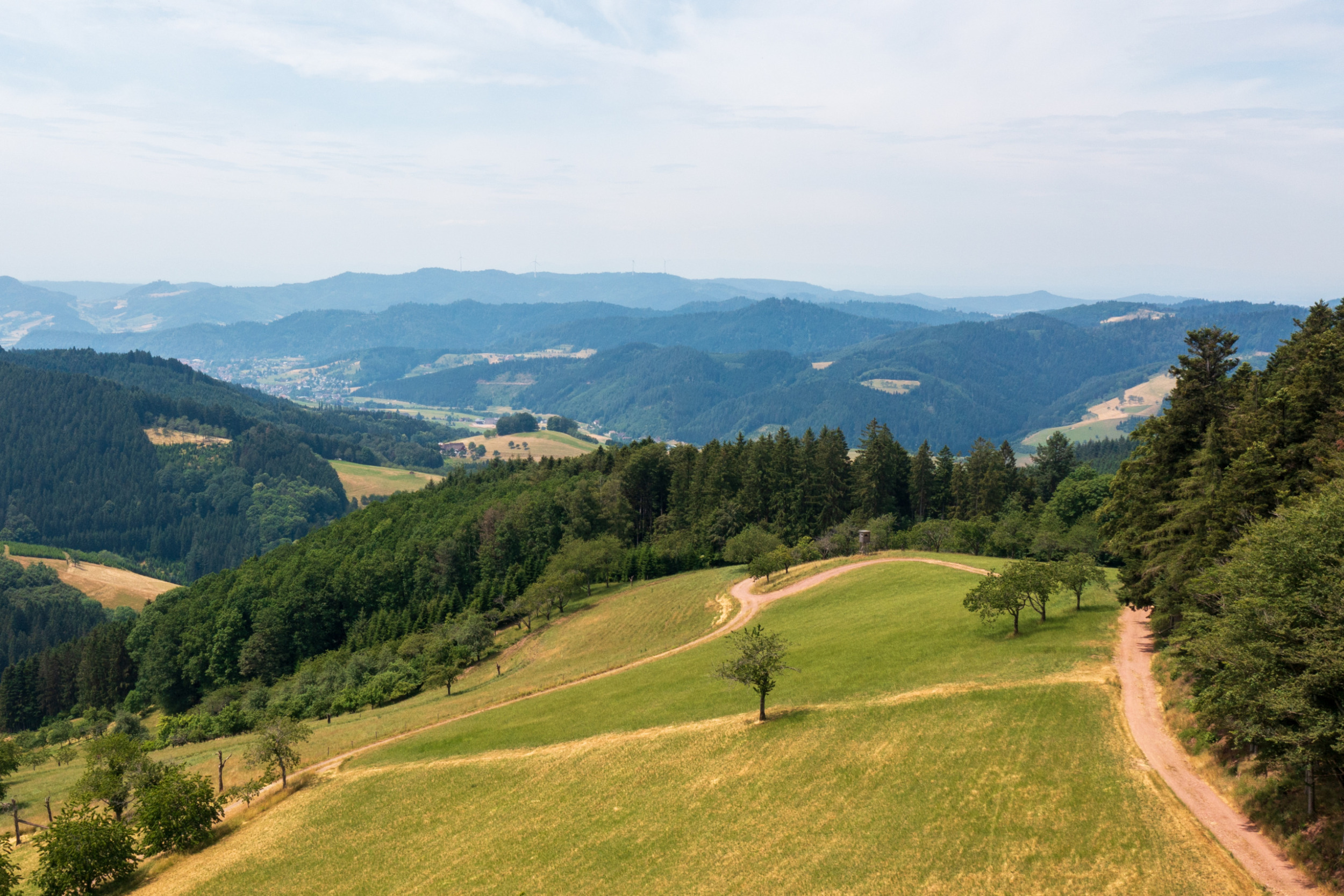 Der Ausblick vom Harmersbacher Vesperweg ist absolut traumhaft und macht die Wanderung zu einem der Schwarzwald Highlights