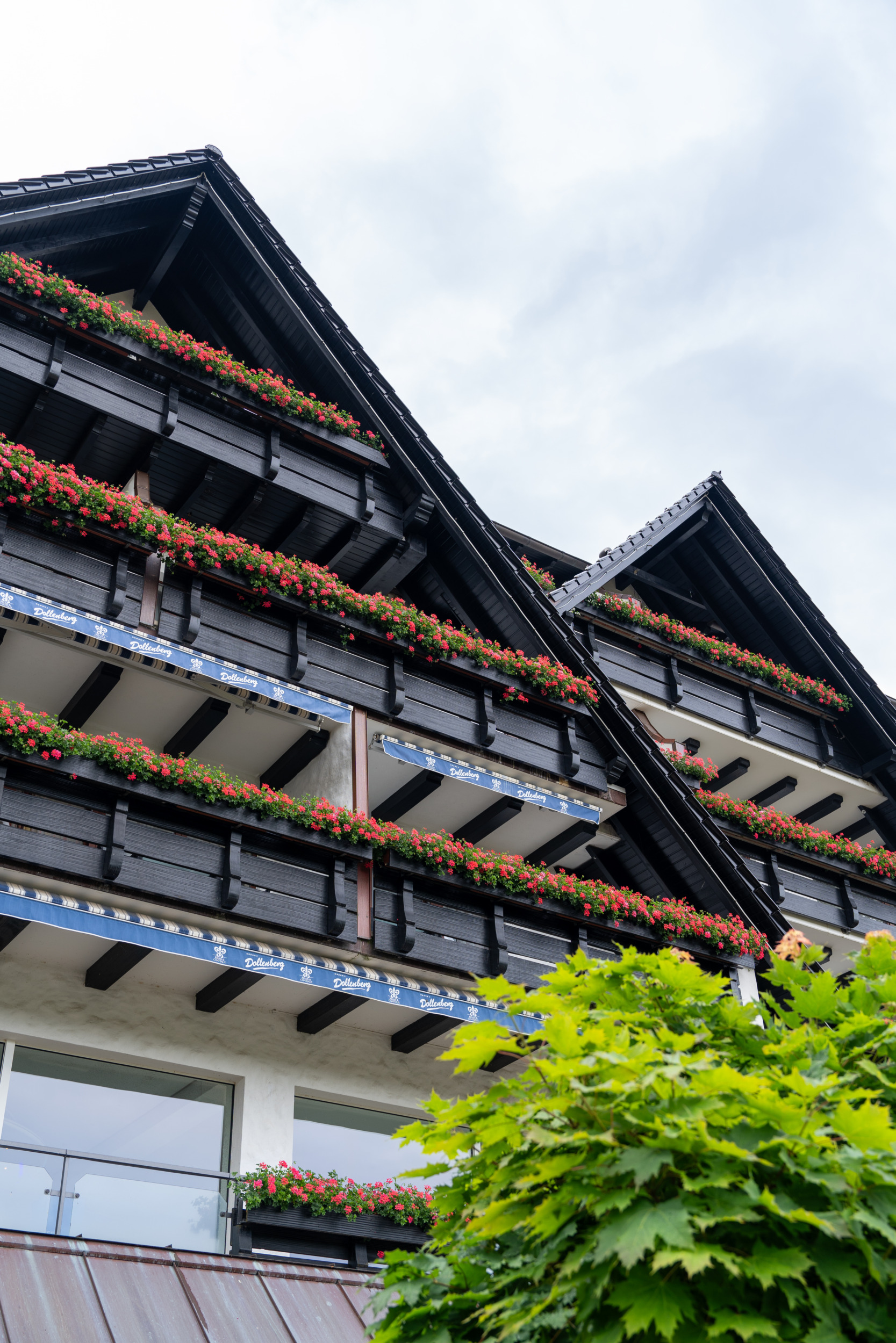 Balkone mit Blumen im Hotel Dollenberg