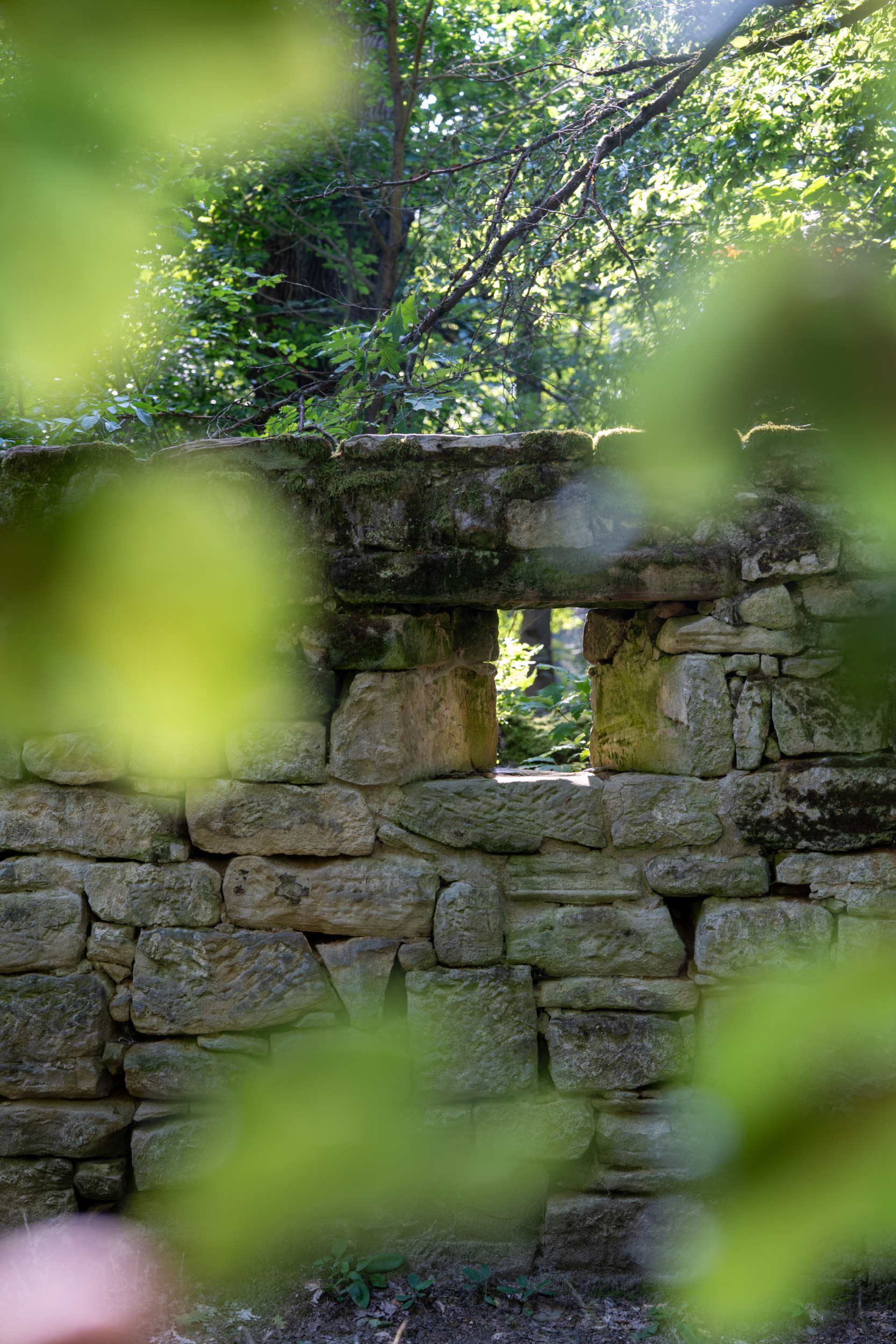Fenster in der Jagdanlage Rieseneck in Thüringen