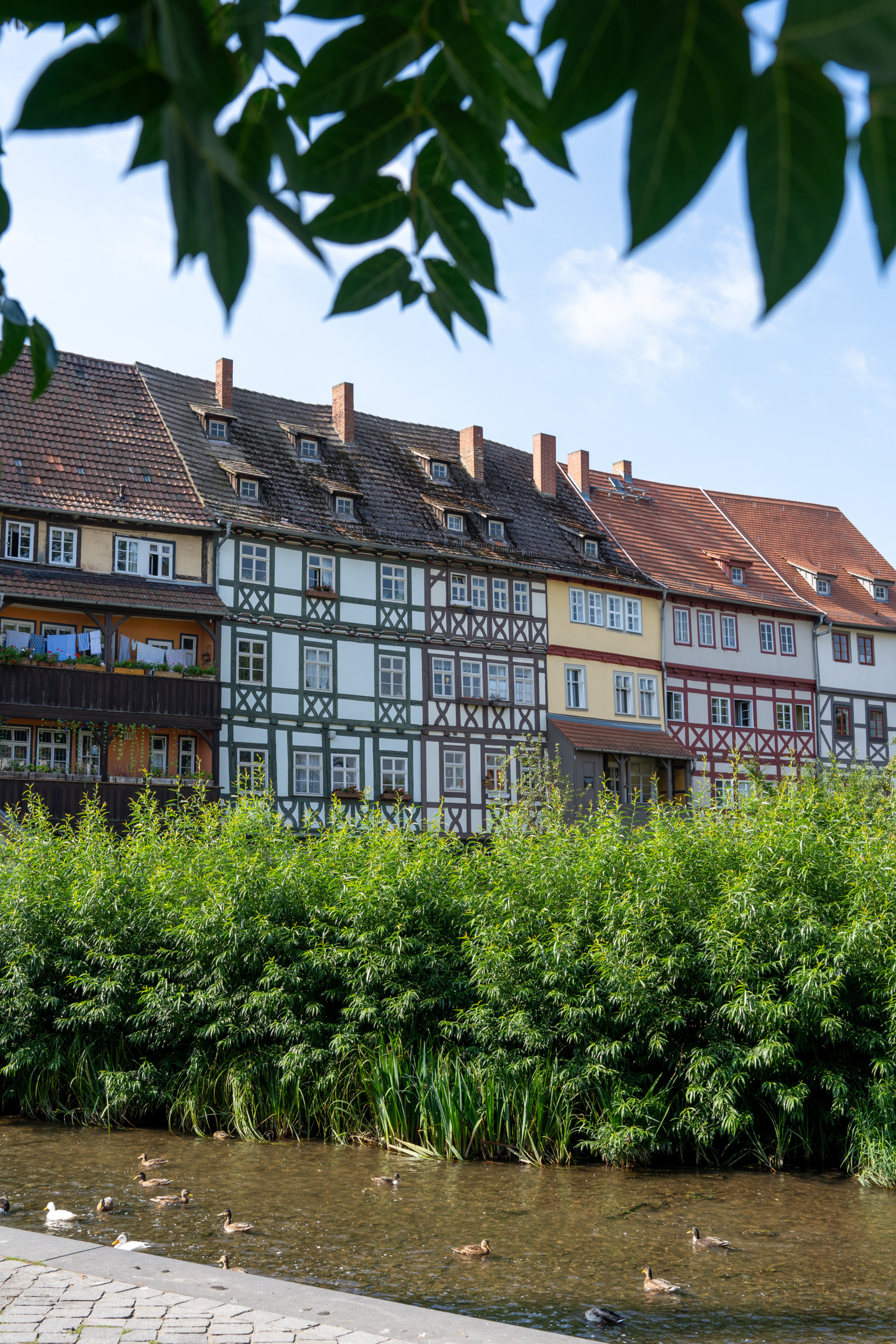 Krämerbrücke in Erfurt