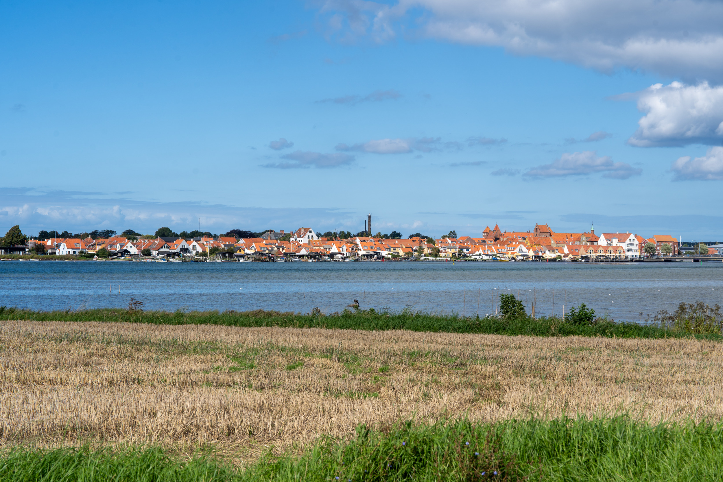 Den schönsten Blick auf Kerteminde habt ihr vom Strand aus