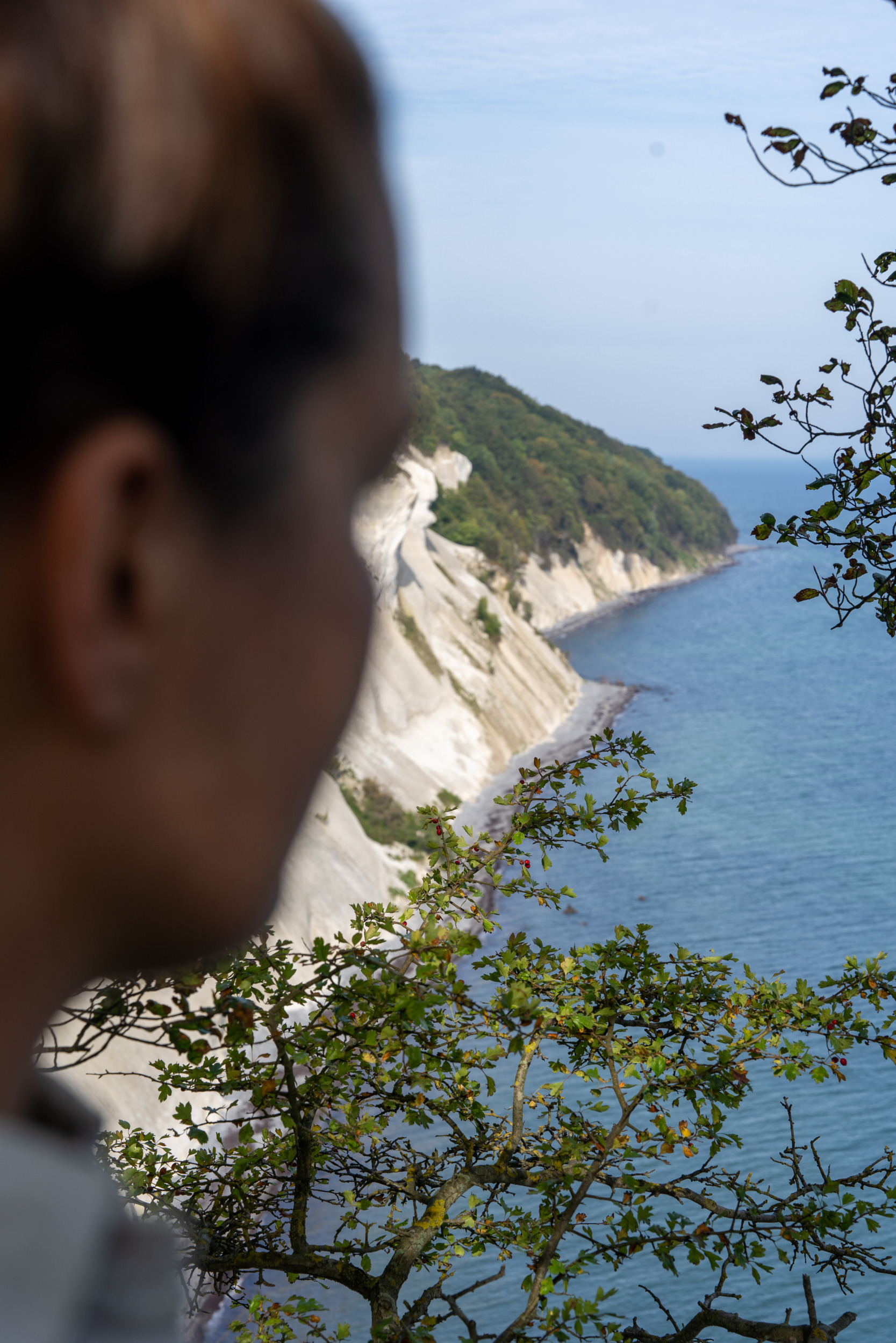 Natur an Møns Klint