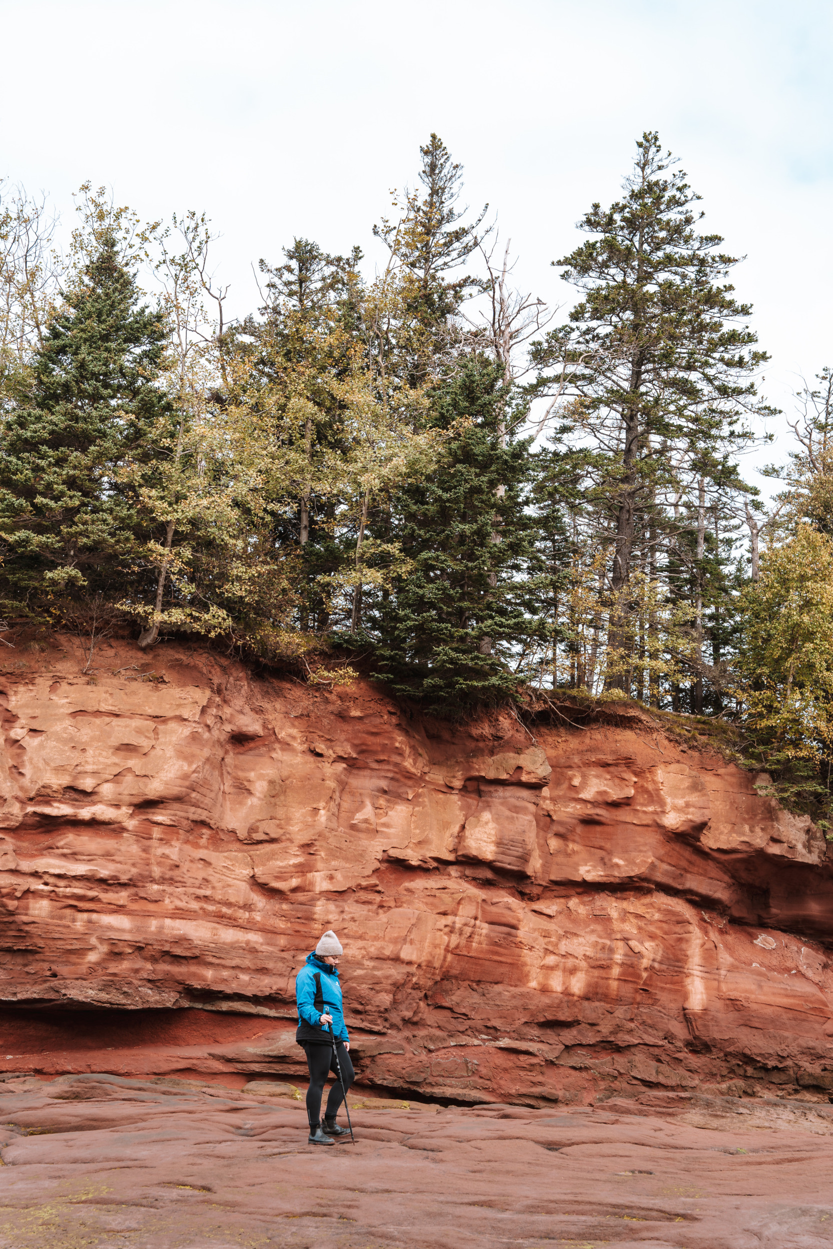 Burntcoat Head Park Nova Scotia