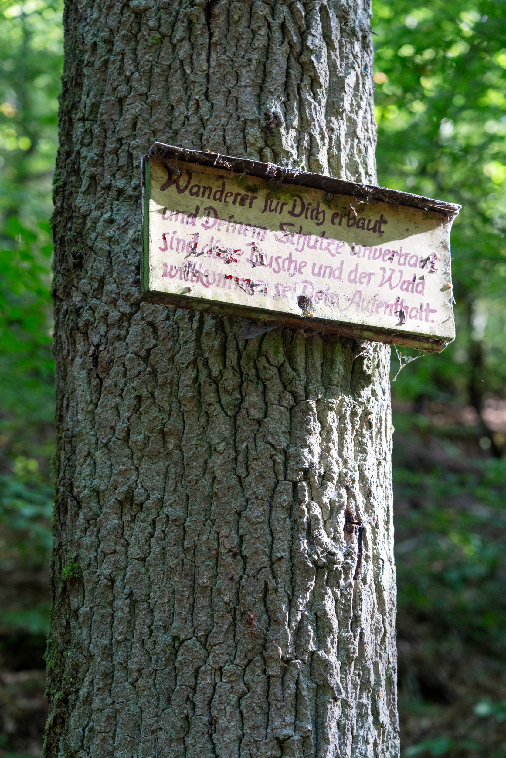 Historische Walddusche