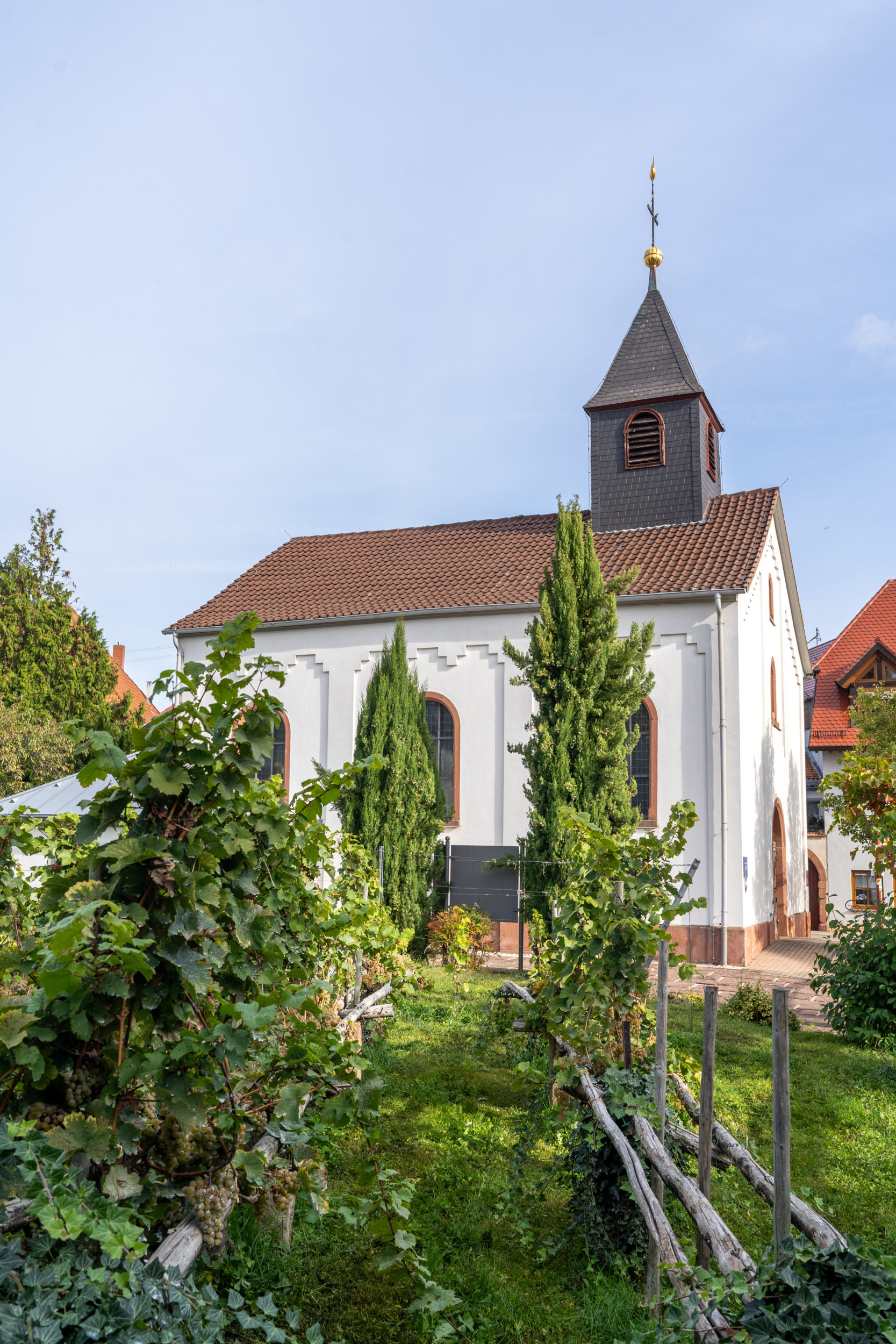 Weinführung in Maikammer