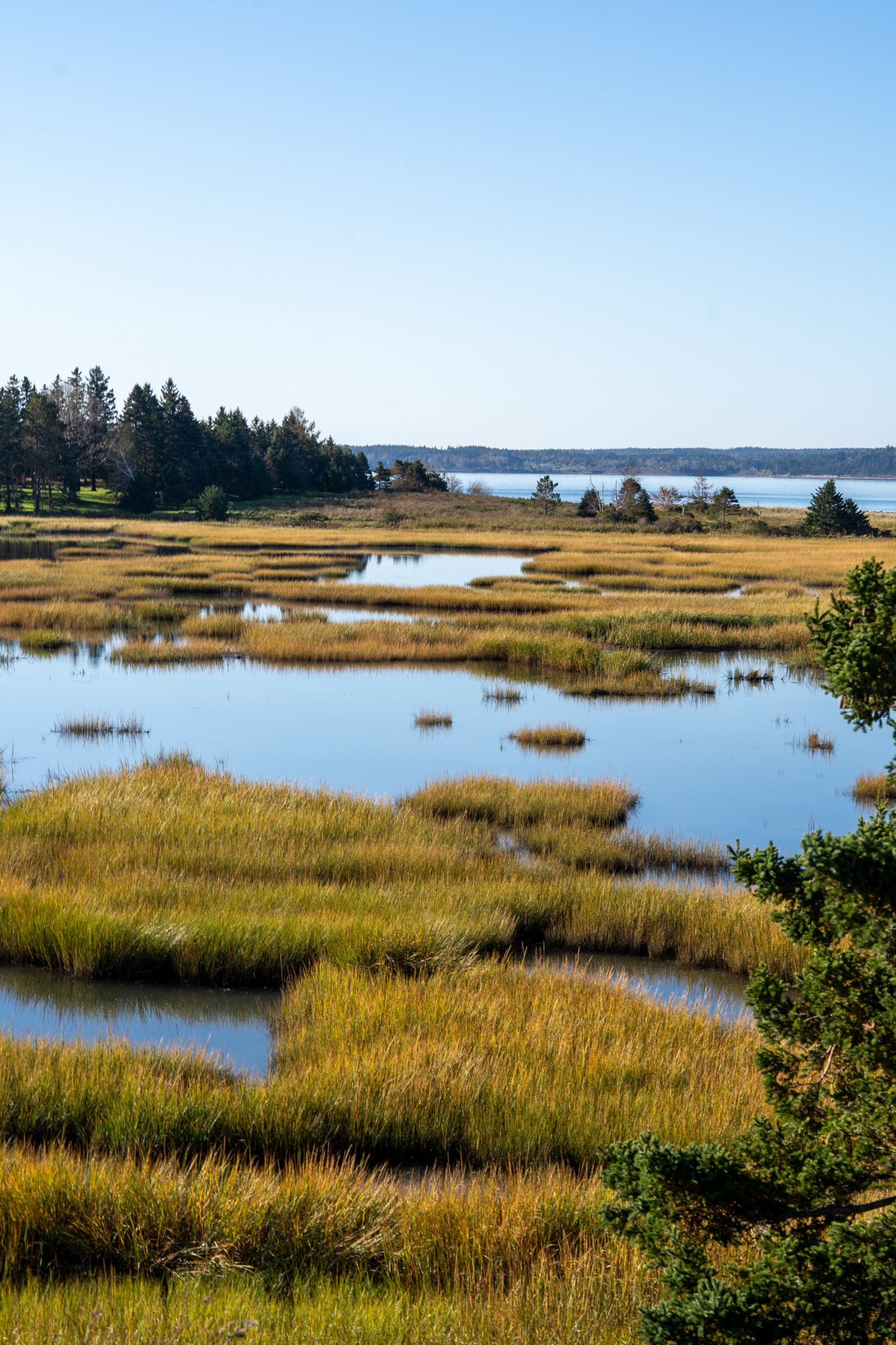 Blue Rocks in Nova Scotia