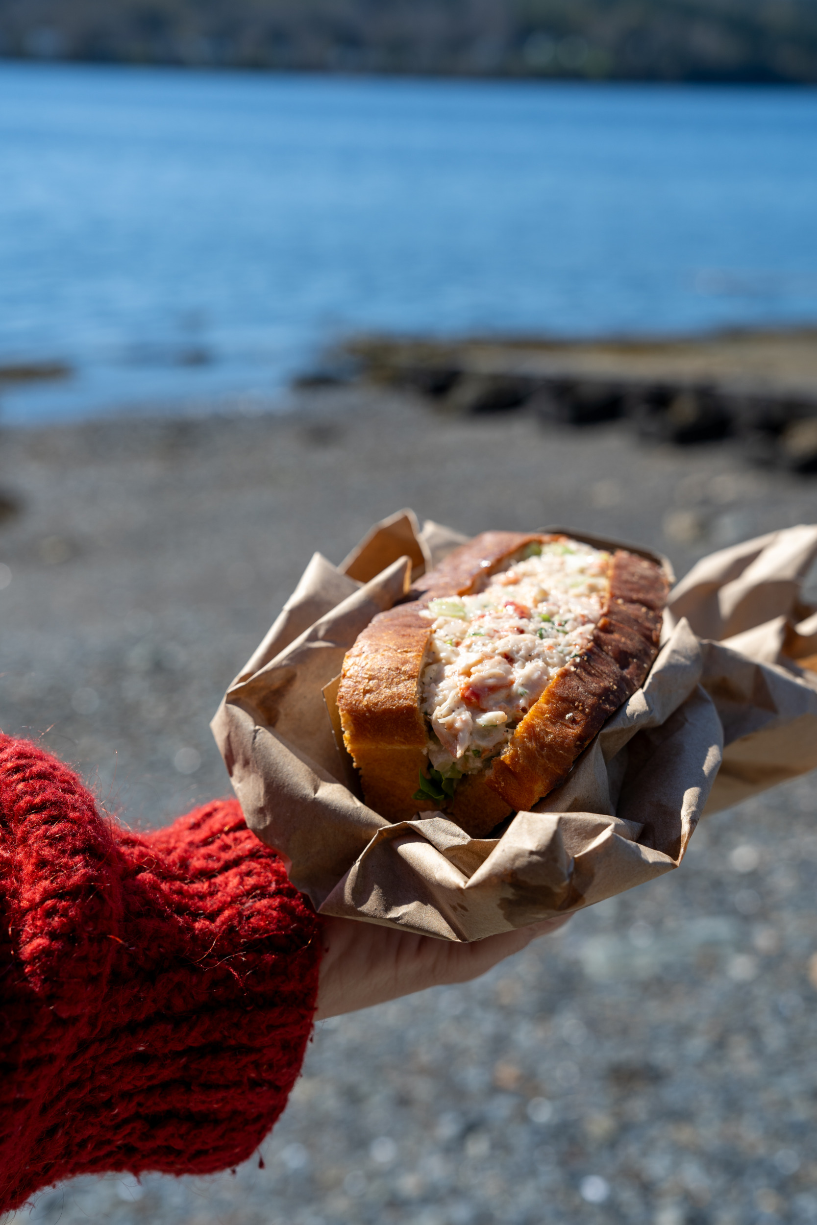 Lobster Roll in Nova Scotia