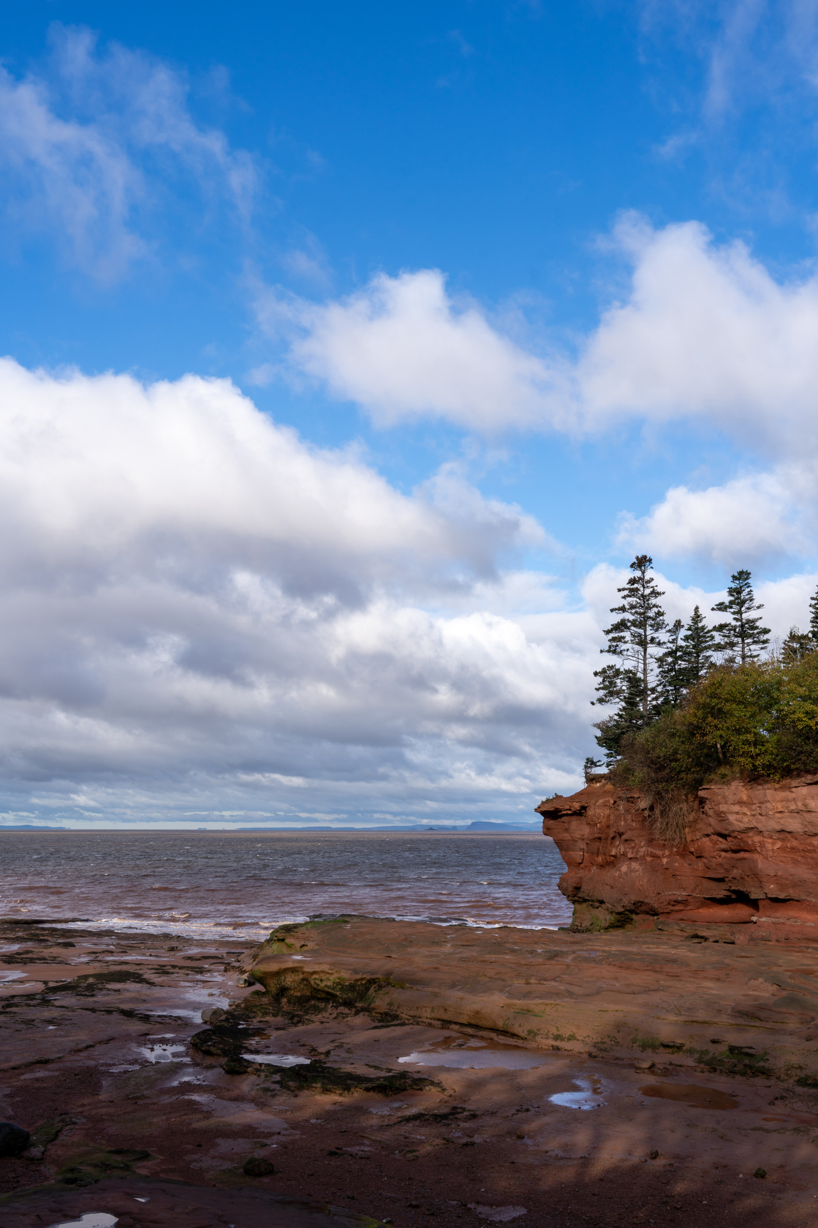 Burntcoat Head Park Nova Scotia
