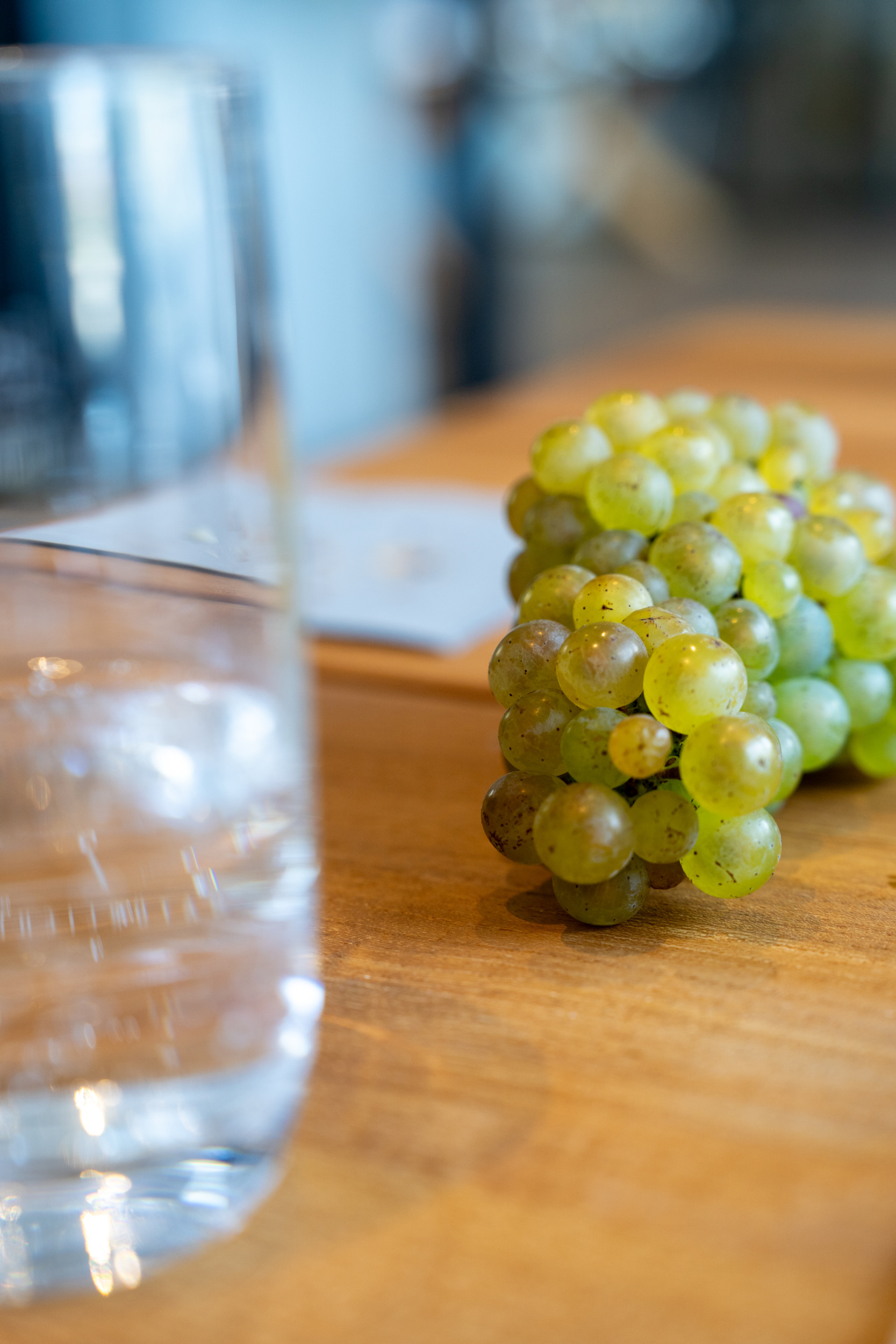 Vinothek Par-Terre
