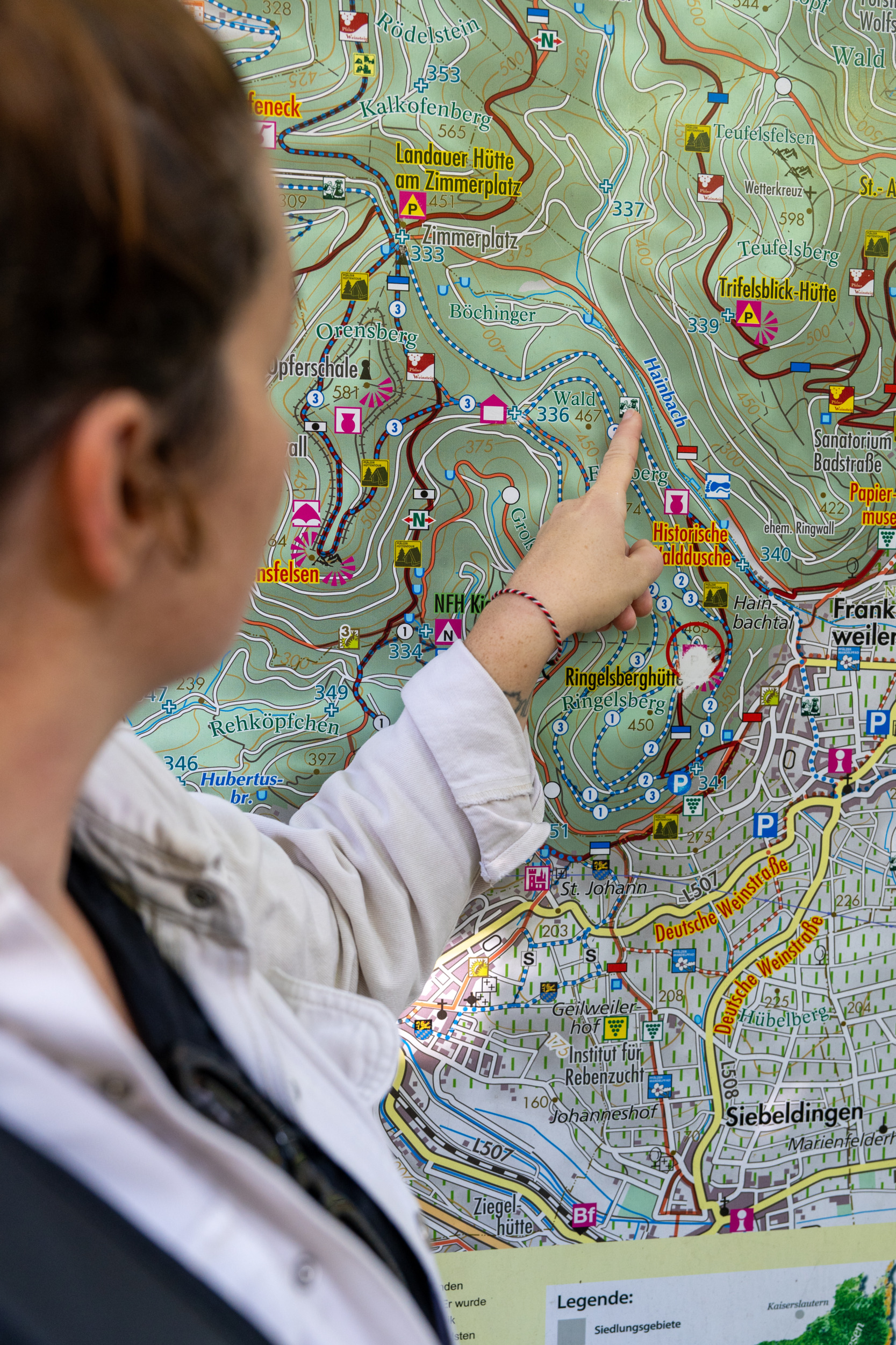 Wandern Südliche Weinstraße