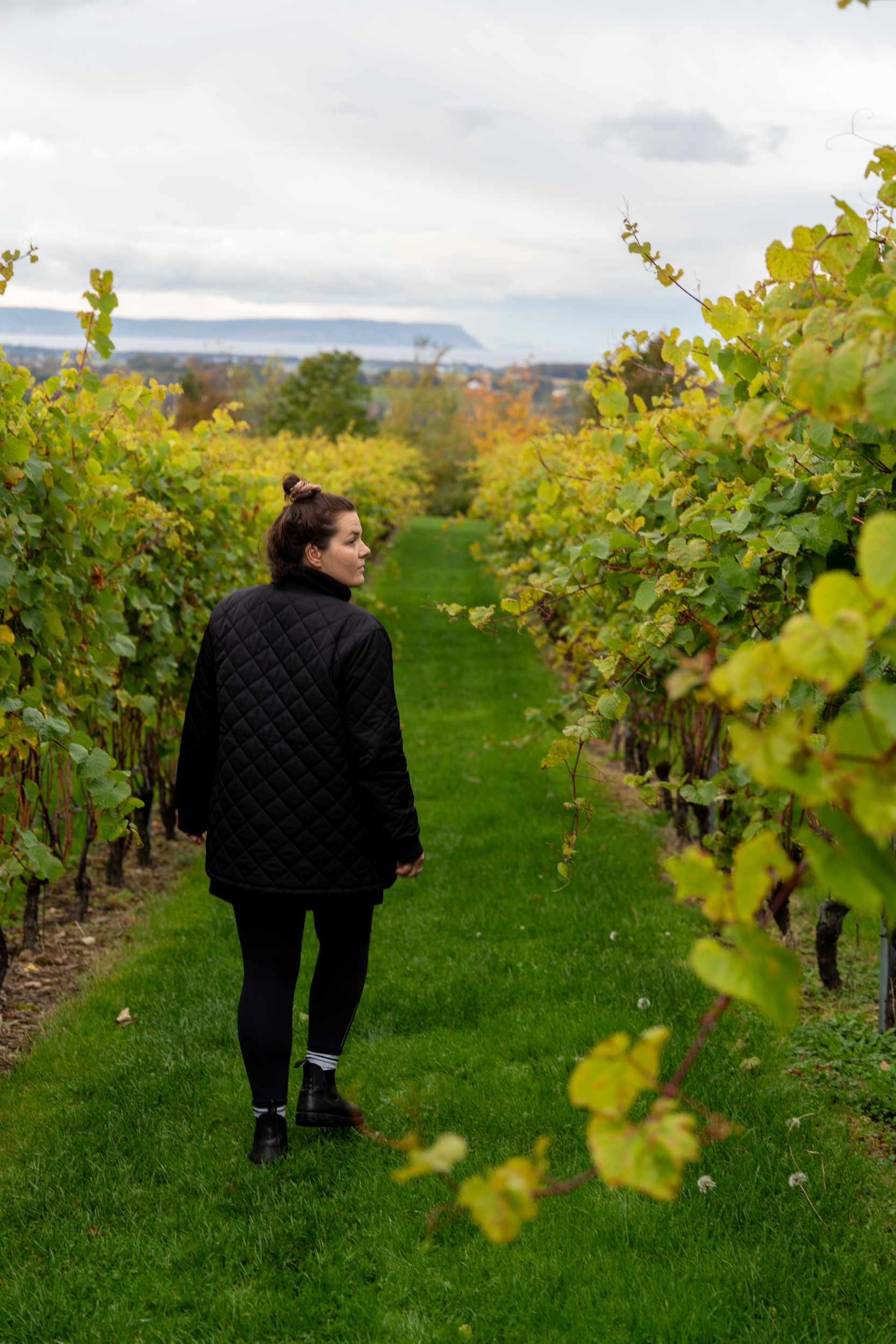 Bei Luckett's gibt's leckeren Wein aus der Region