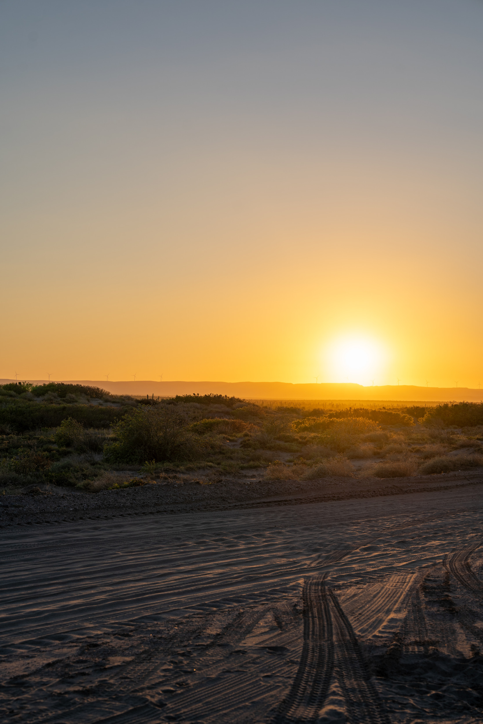 Dunas del Mogote