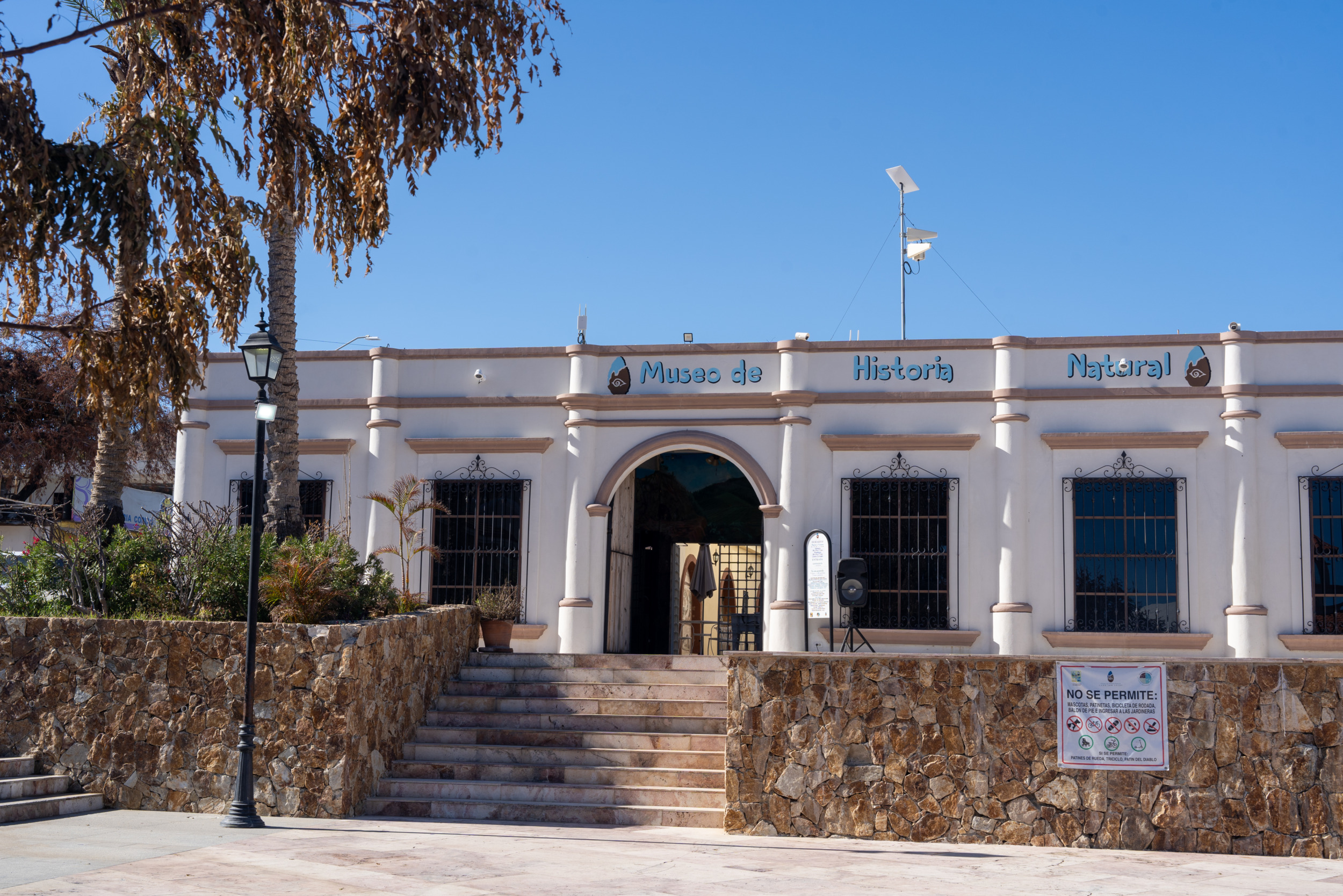 Im Museo de Historia Natural lernt ihr mehr über die Geschichte von Los Cabos