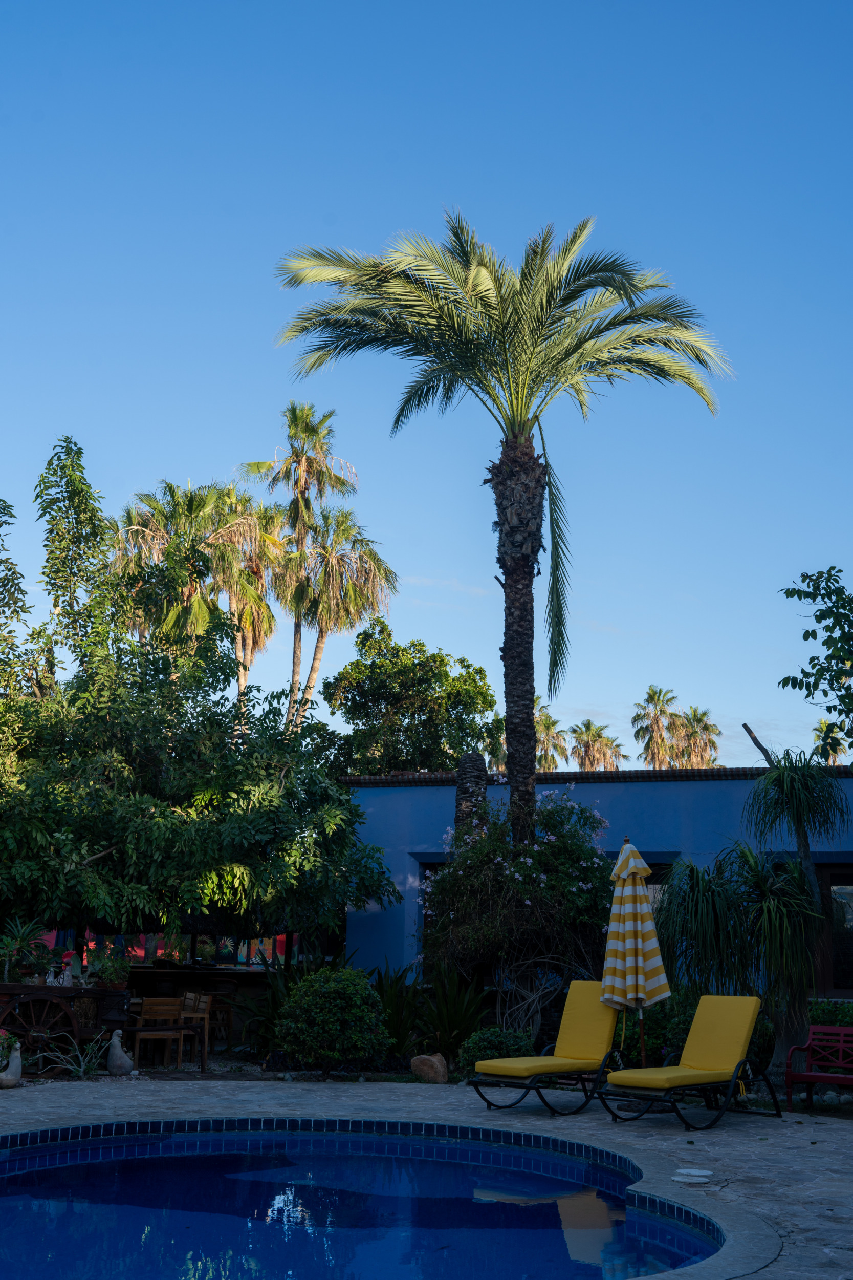 Encanto Inn