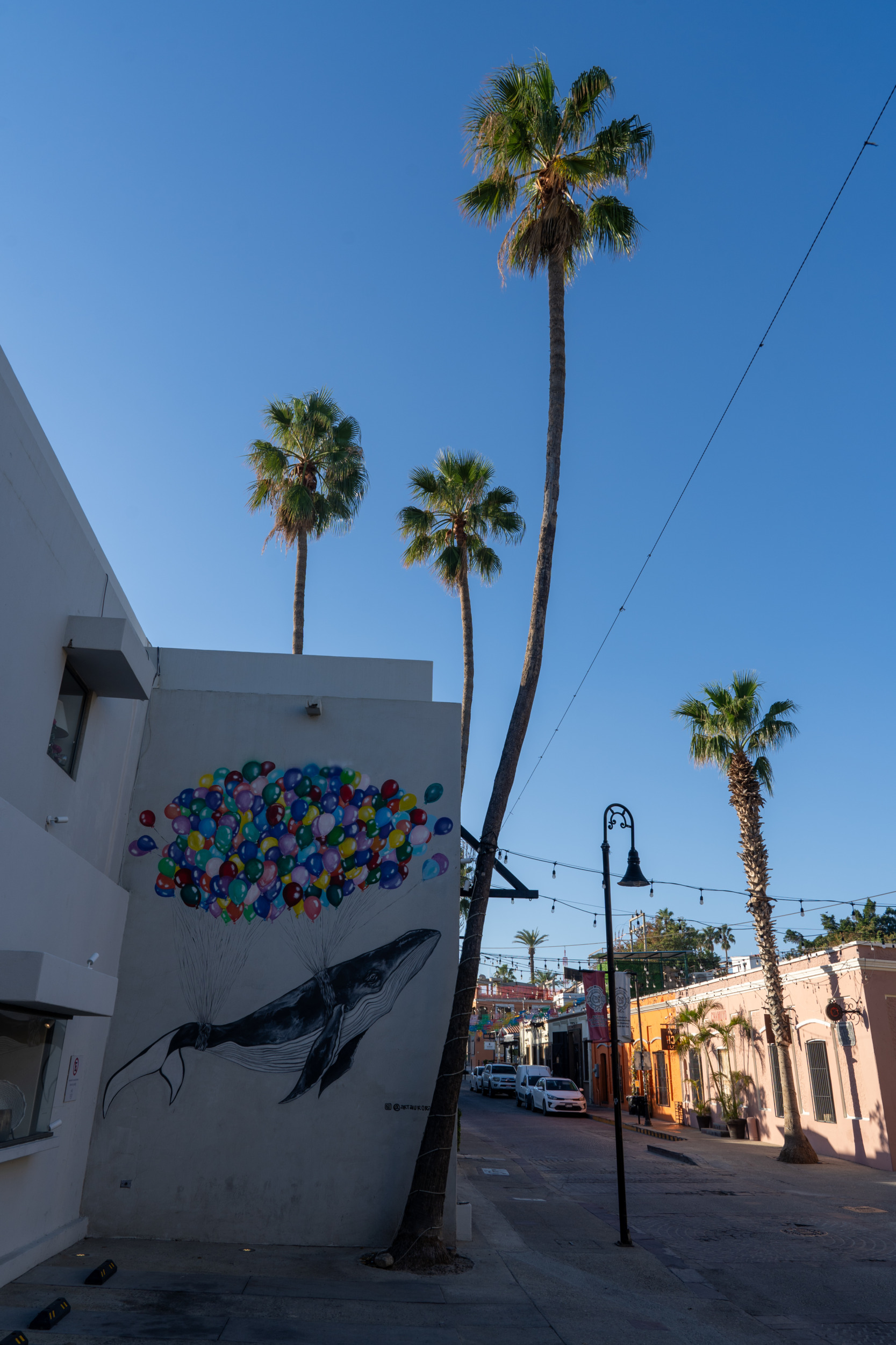 San Jose del Cabo