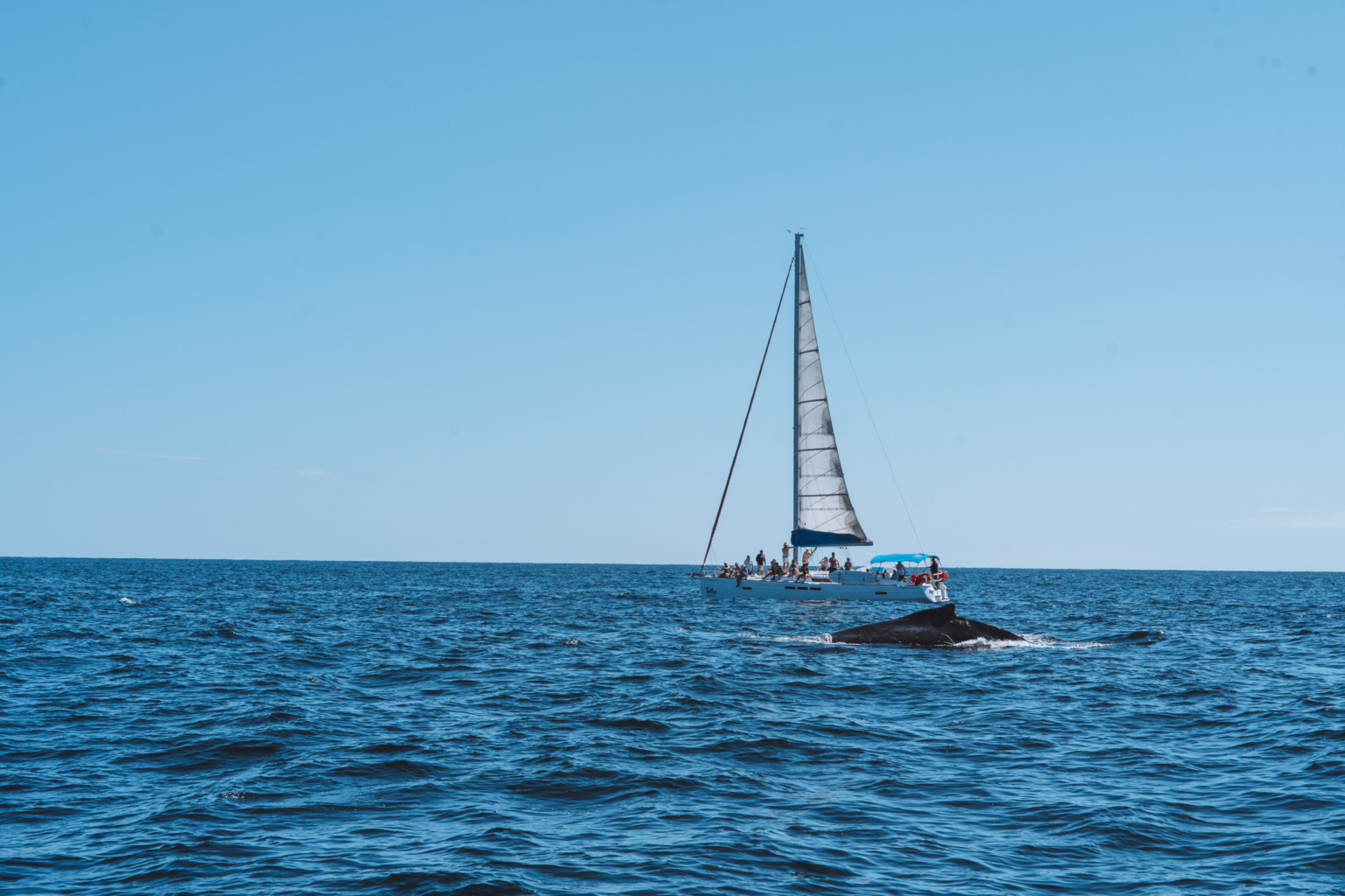 San José del Cabo Die 27 besten Tipps & Highlights