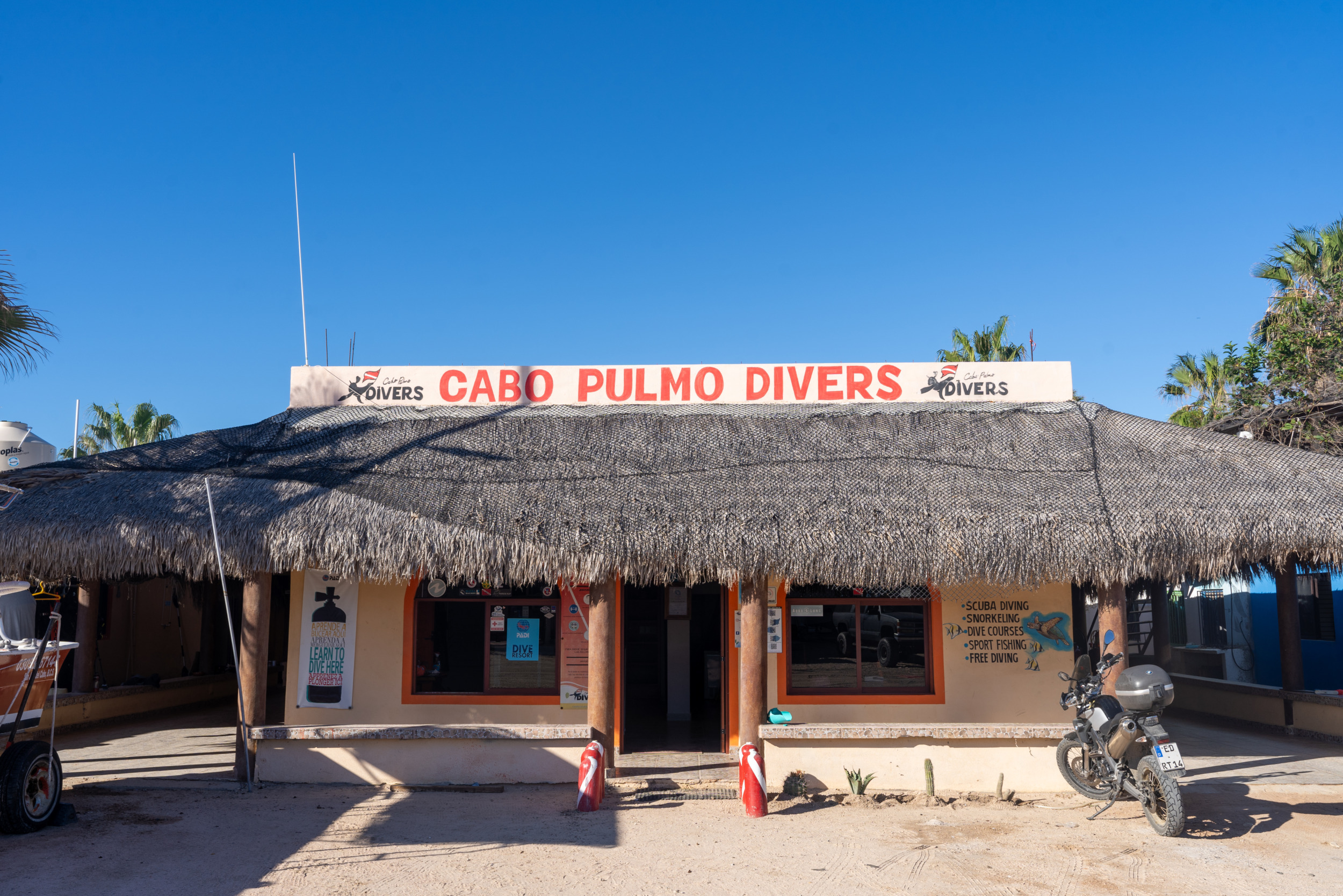 Cabo Pulmo Divers können wir euch zu 100% für einen Schnorchel- und Tauchgang empfehlen