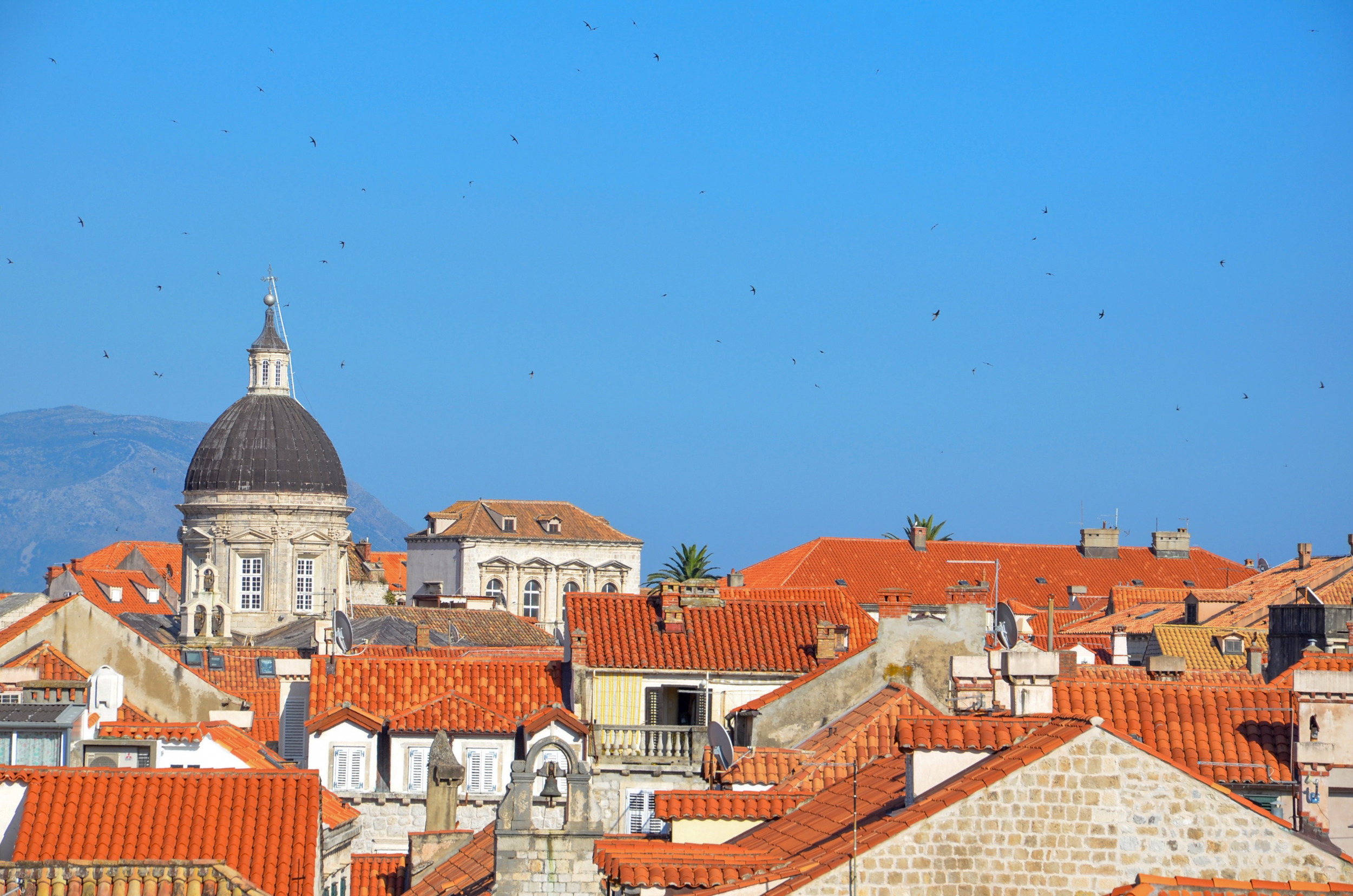 Die Kathedrale gehört sicher zu den bekanntesten Dubrovnik Sehenswürdigkeiten
