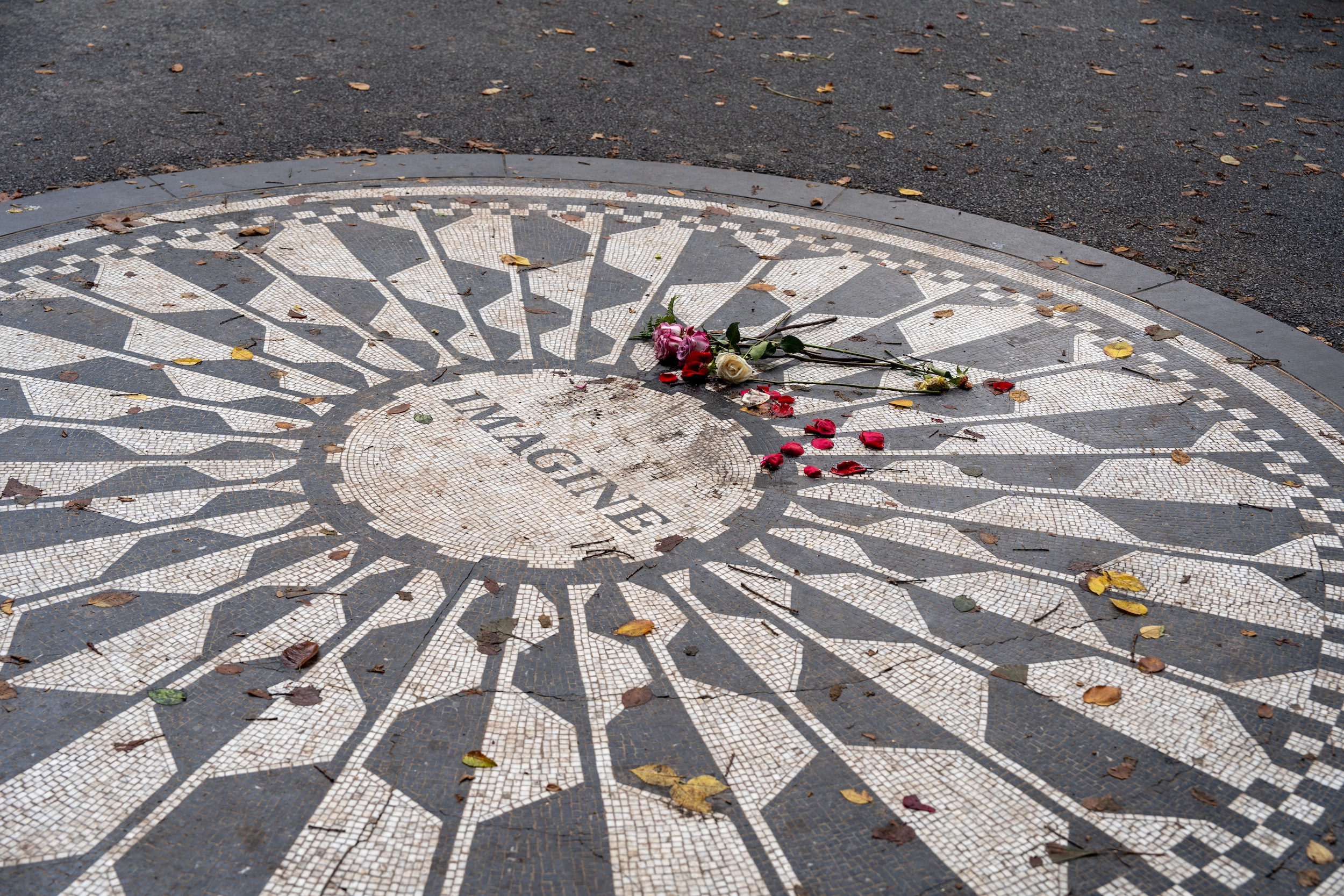 Im Central Park spürt ihr den Vibe von New York an jeder Ecke