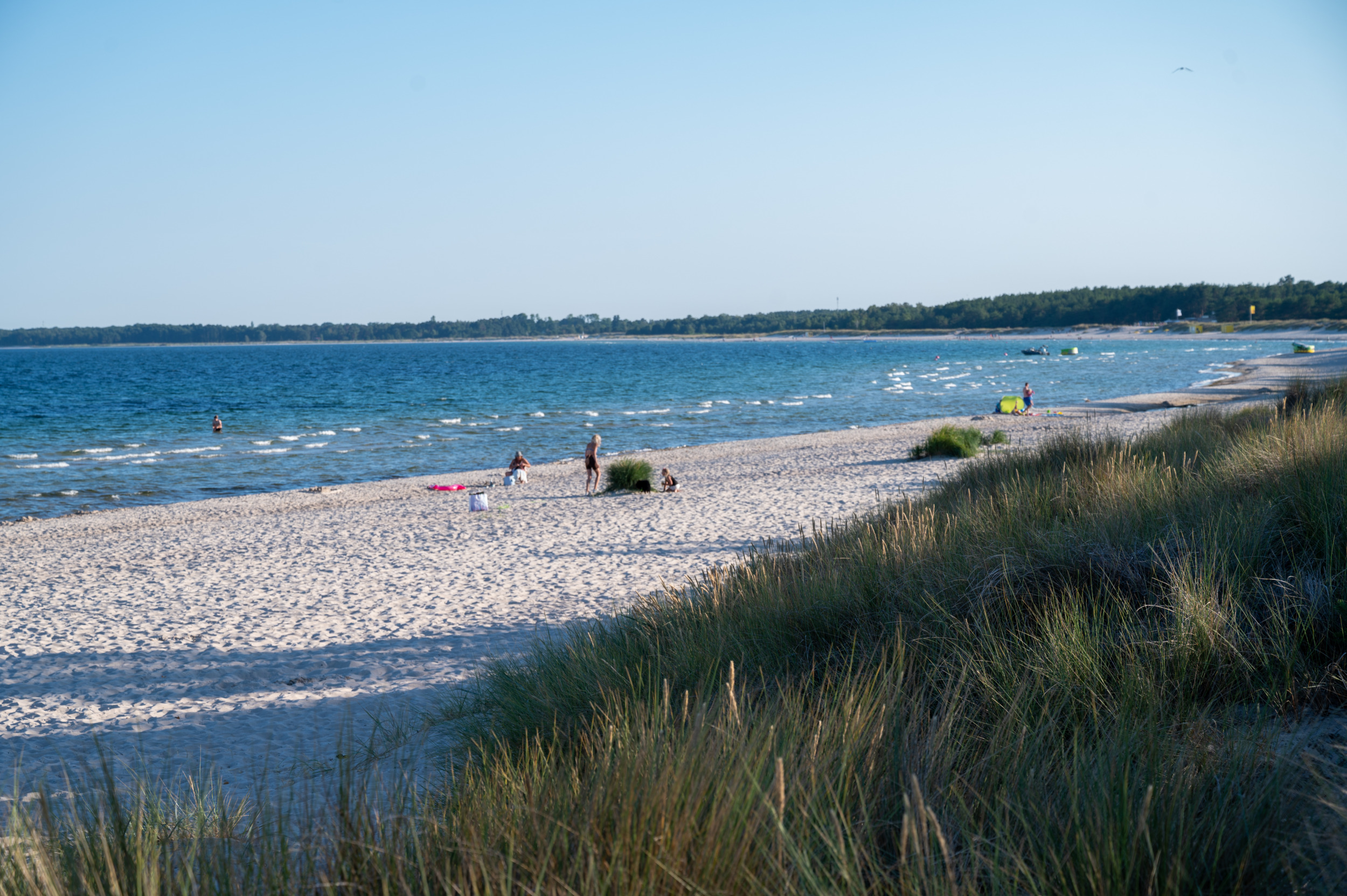 Die Böda Bucht bietet euch paradiesische Strände