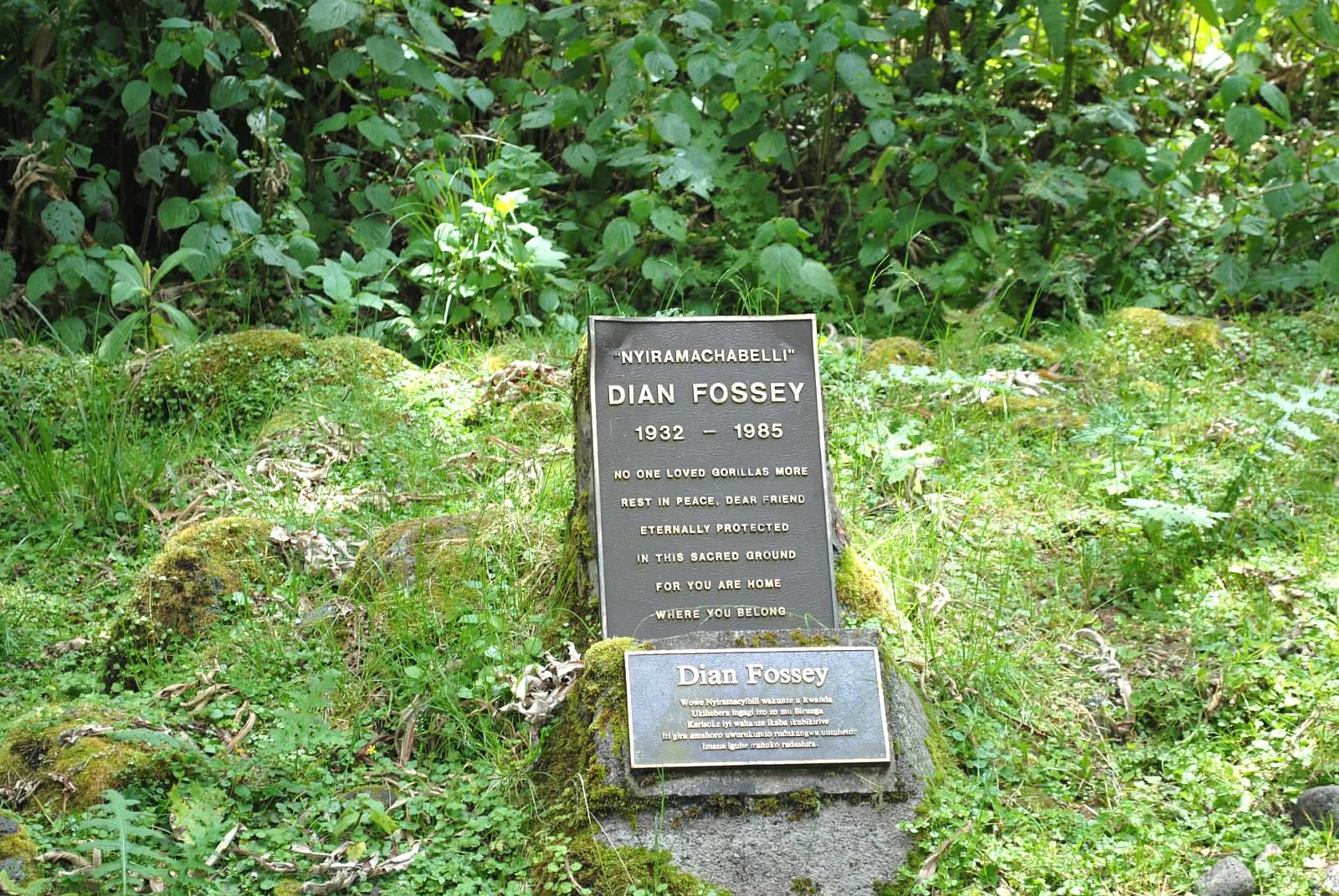 Das Grab von Dian Fossey ist bis heute eine Gedenkstätte zahlreicher Forscher