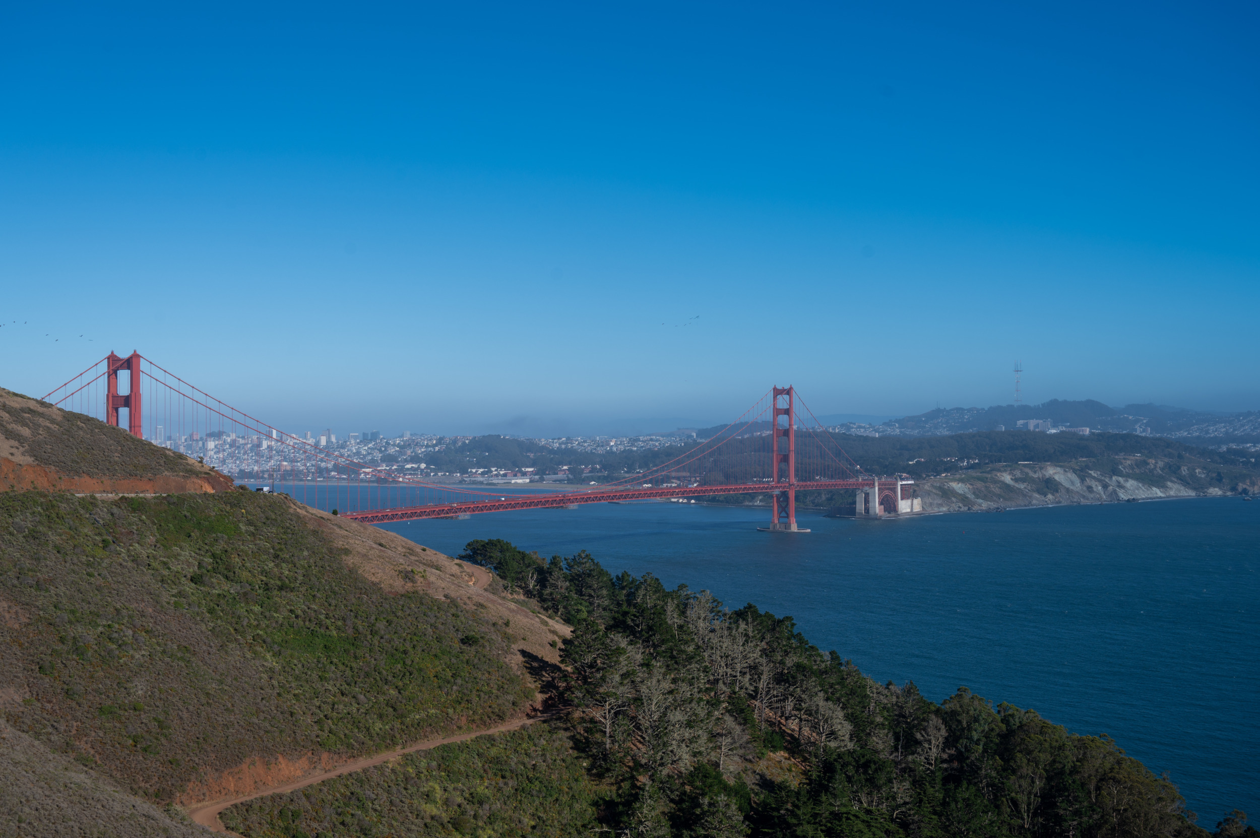 Der Golden Gate Park bietet euch tolle Wanderungen und Ausblicke