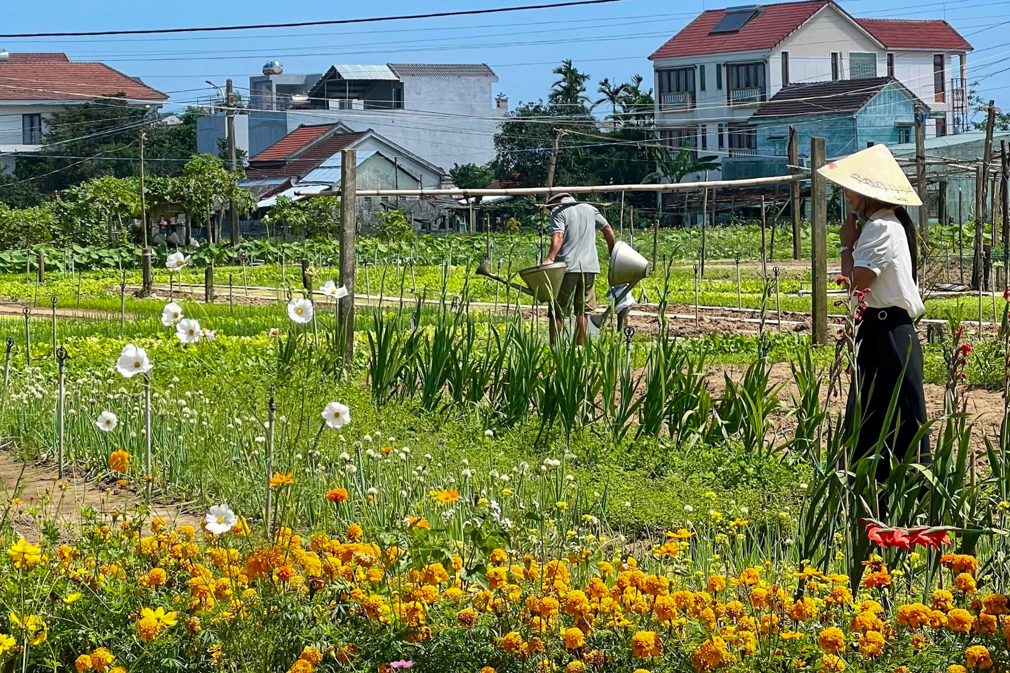 Im Herb Village von Hoi An könnt ihr einen Blick hinter die Kulissen werfen