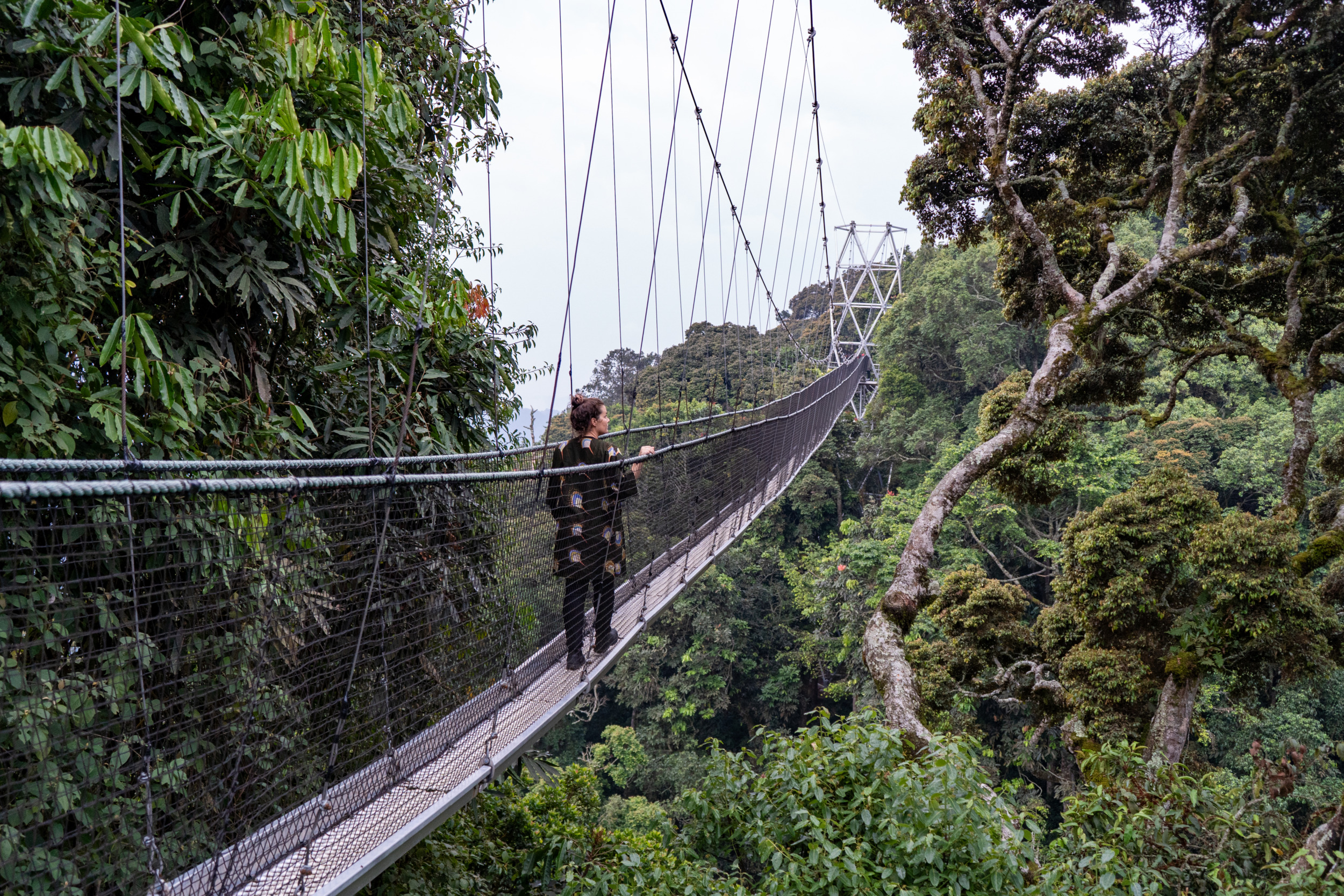 Der Canopy-Walk im Nyunge-Nationalpark in Ruanda bietet euch einen tollen Blick über die Landschaft