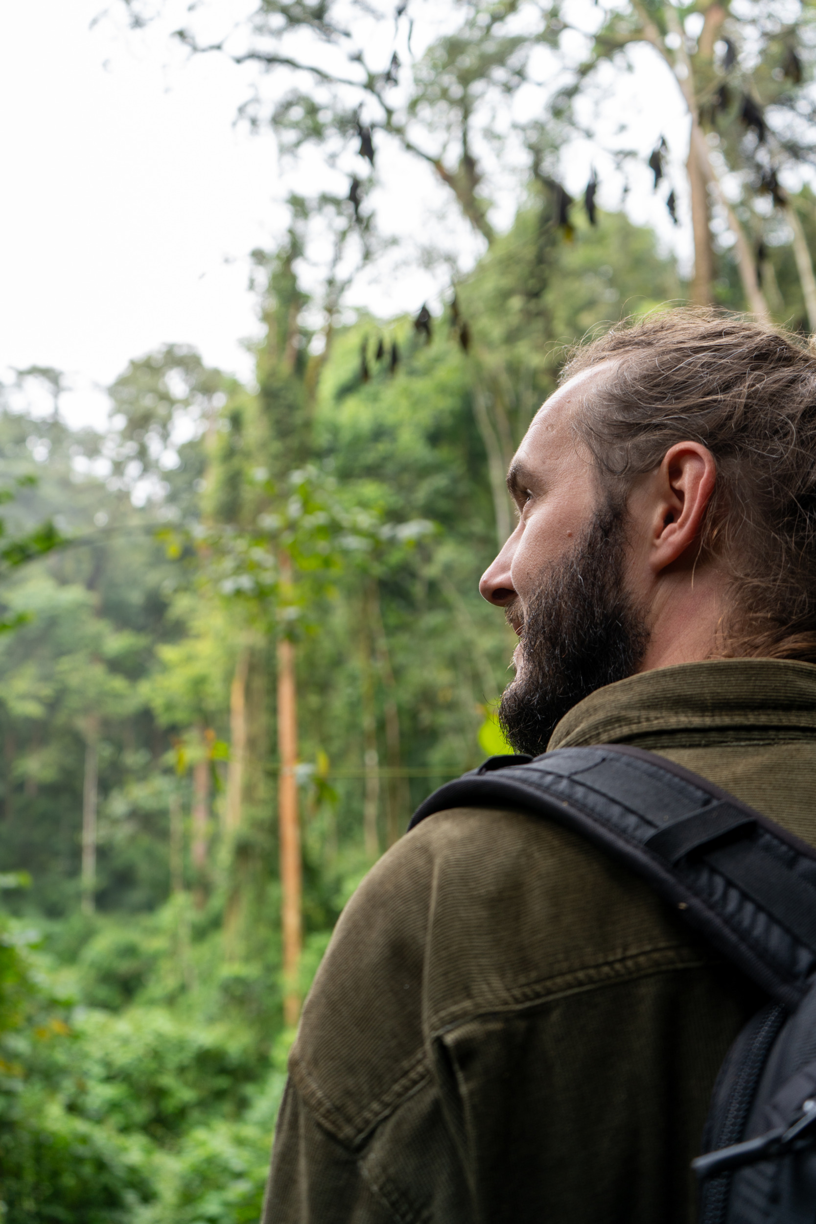 Nyungwe-Nationalpark