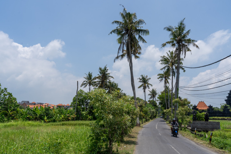 Am einfachsten kommt ihr auf Bali mit dem Roller von A nach B