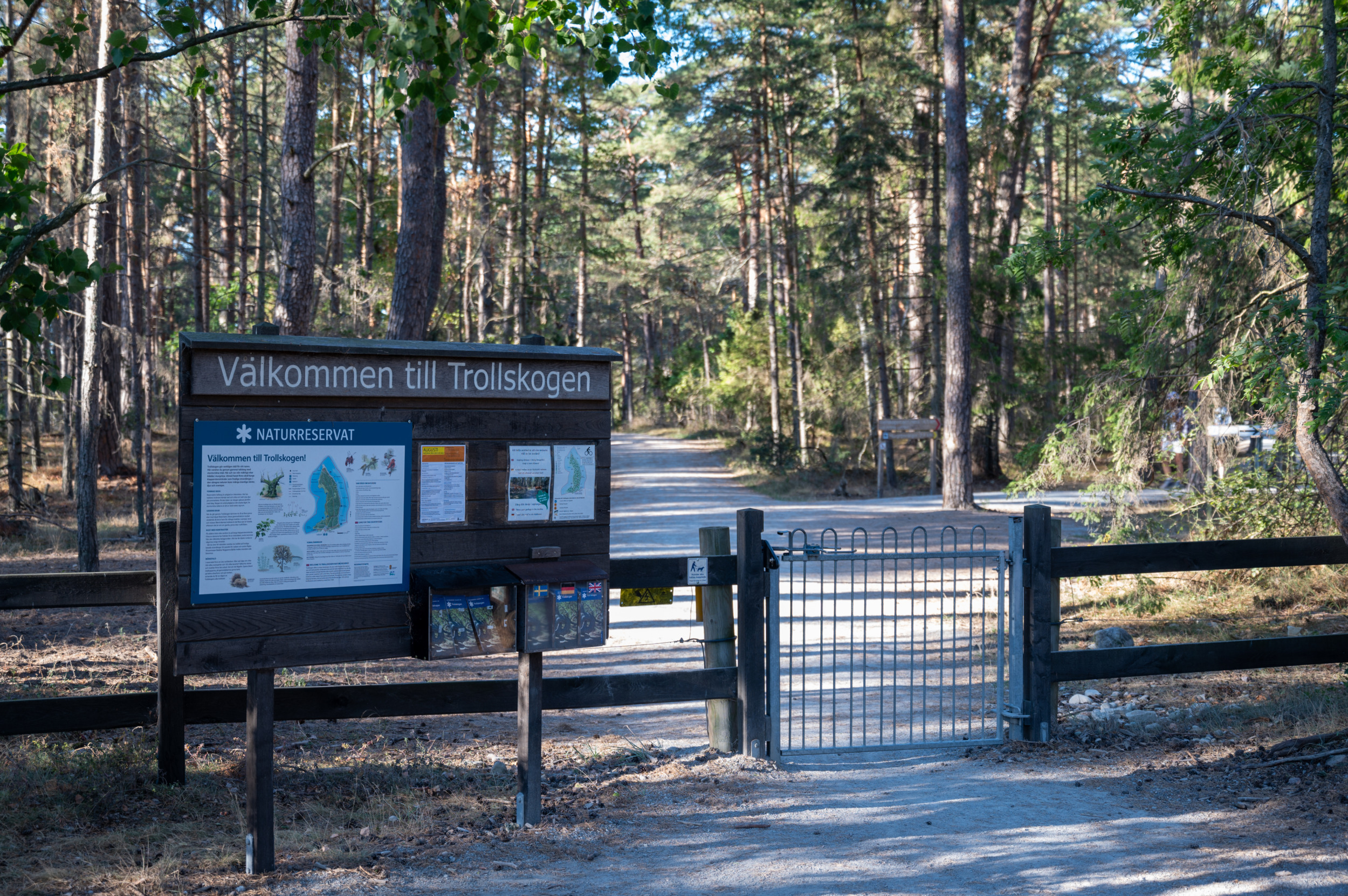 Nach dem Tor landet ihr im Trollskogen – einem echten Märchenwald