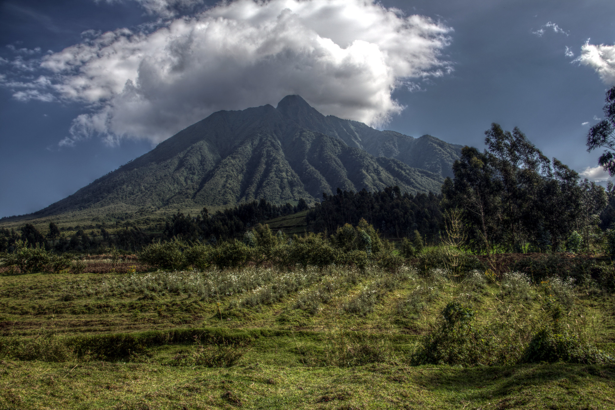 Der Volcanoes Nationalpark bietet euch zahlreiche Aktivitäten