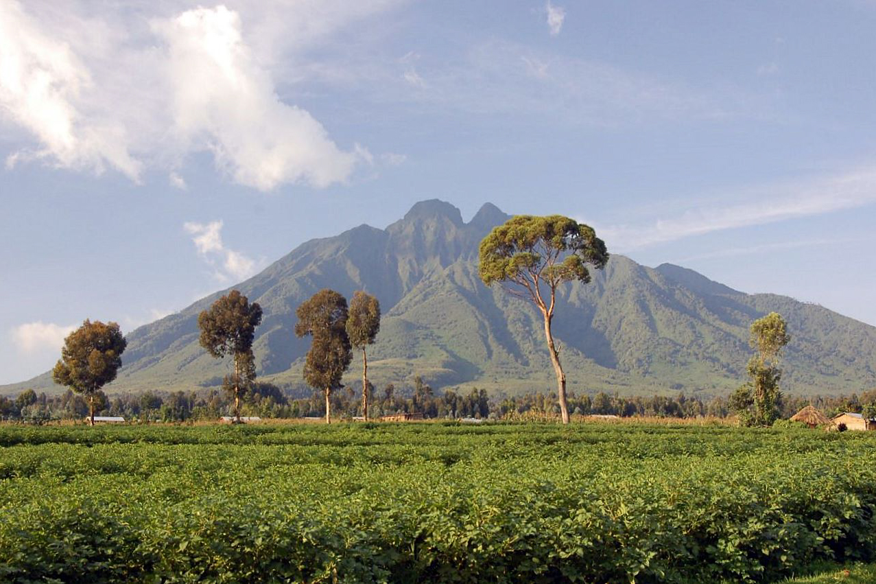 Die Landschaft im Volcanoes Nationalpark in Ruanda ist einmalig