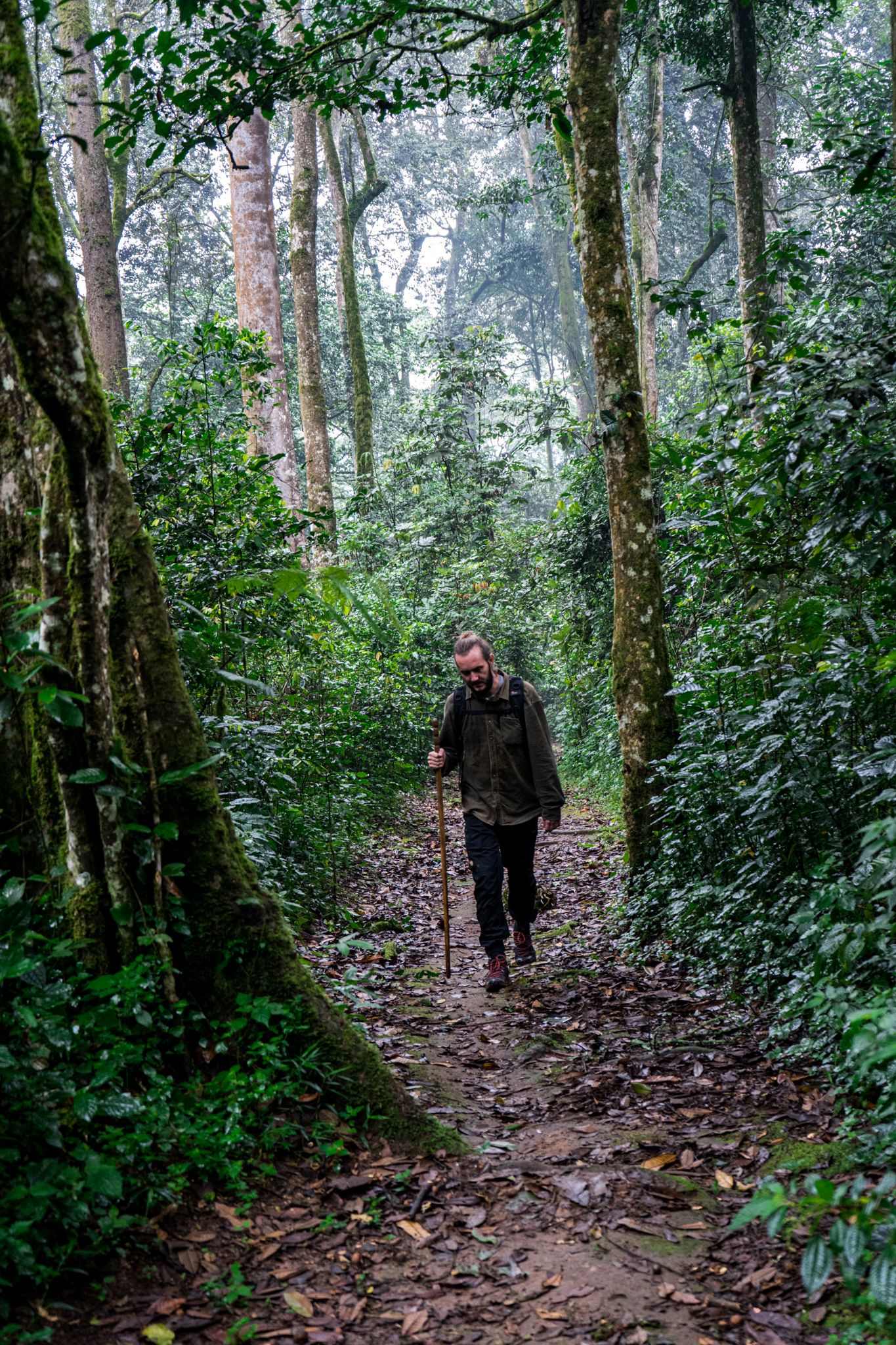 Wandern im Nyungwe-Nationalpark Ruanda