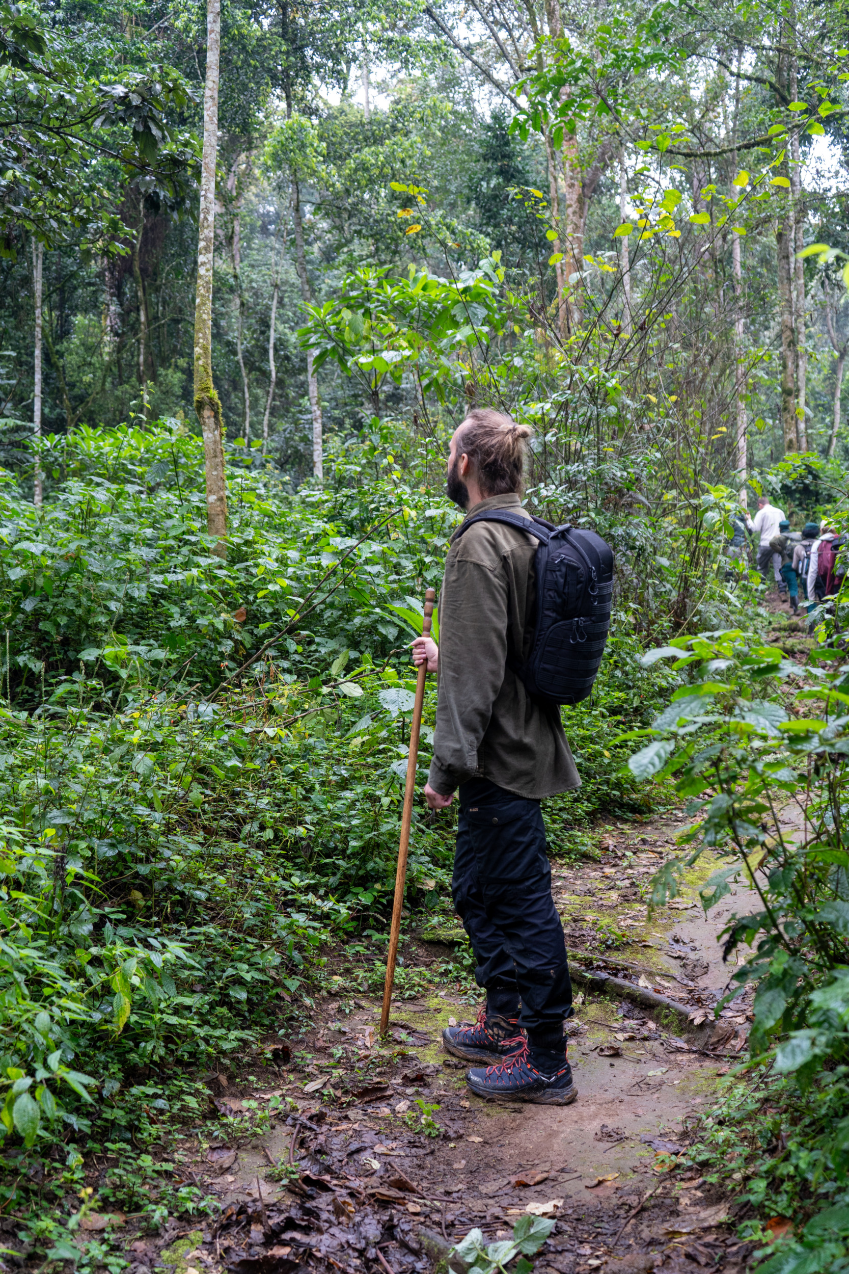 Wandern Nyungwe-Nationalpark