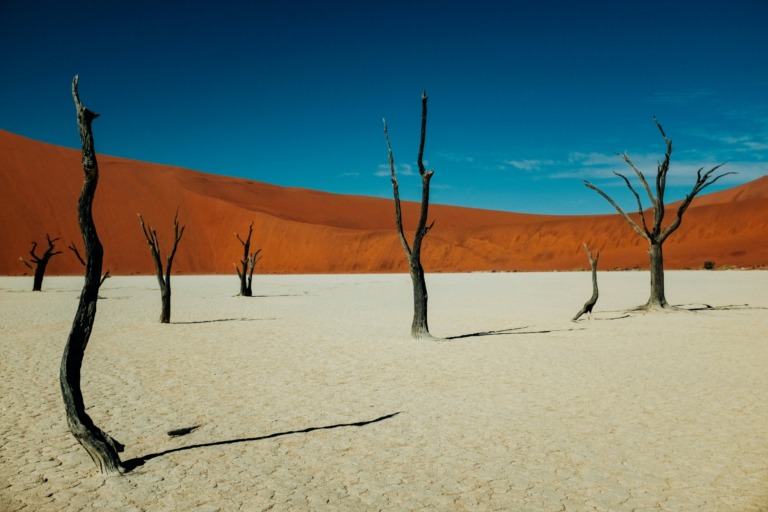 Deadvlei in Namibia