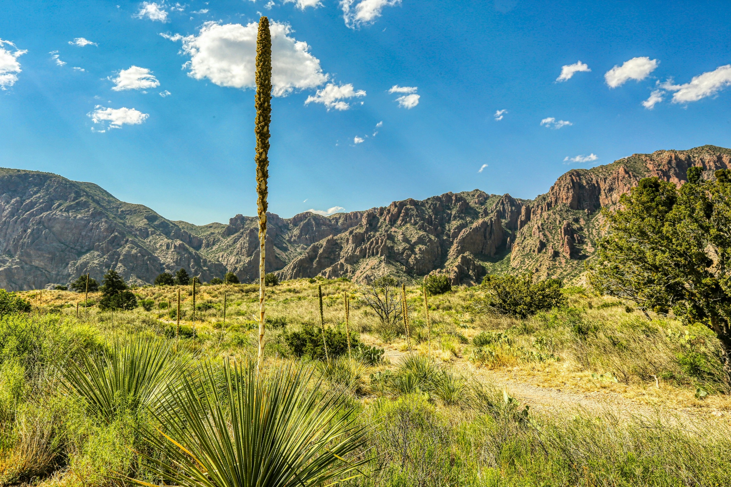 Nationalparks USA