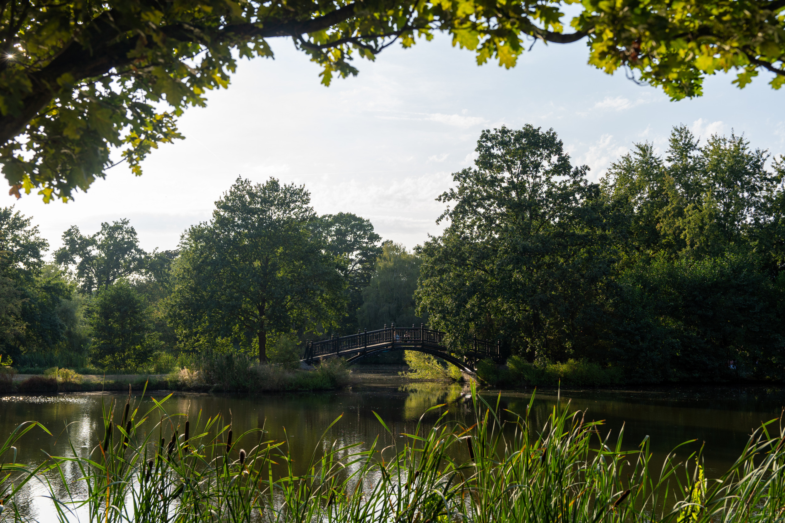 Clara-Zetkin-Park