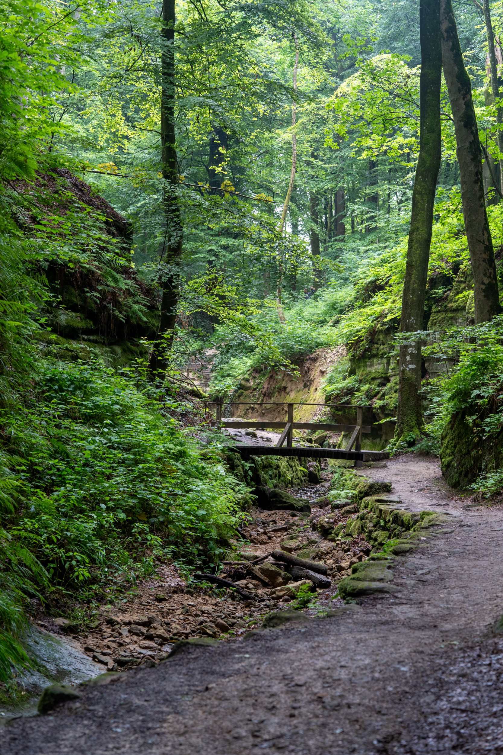 Müllerthal Trail