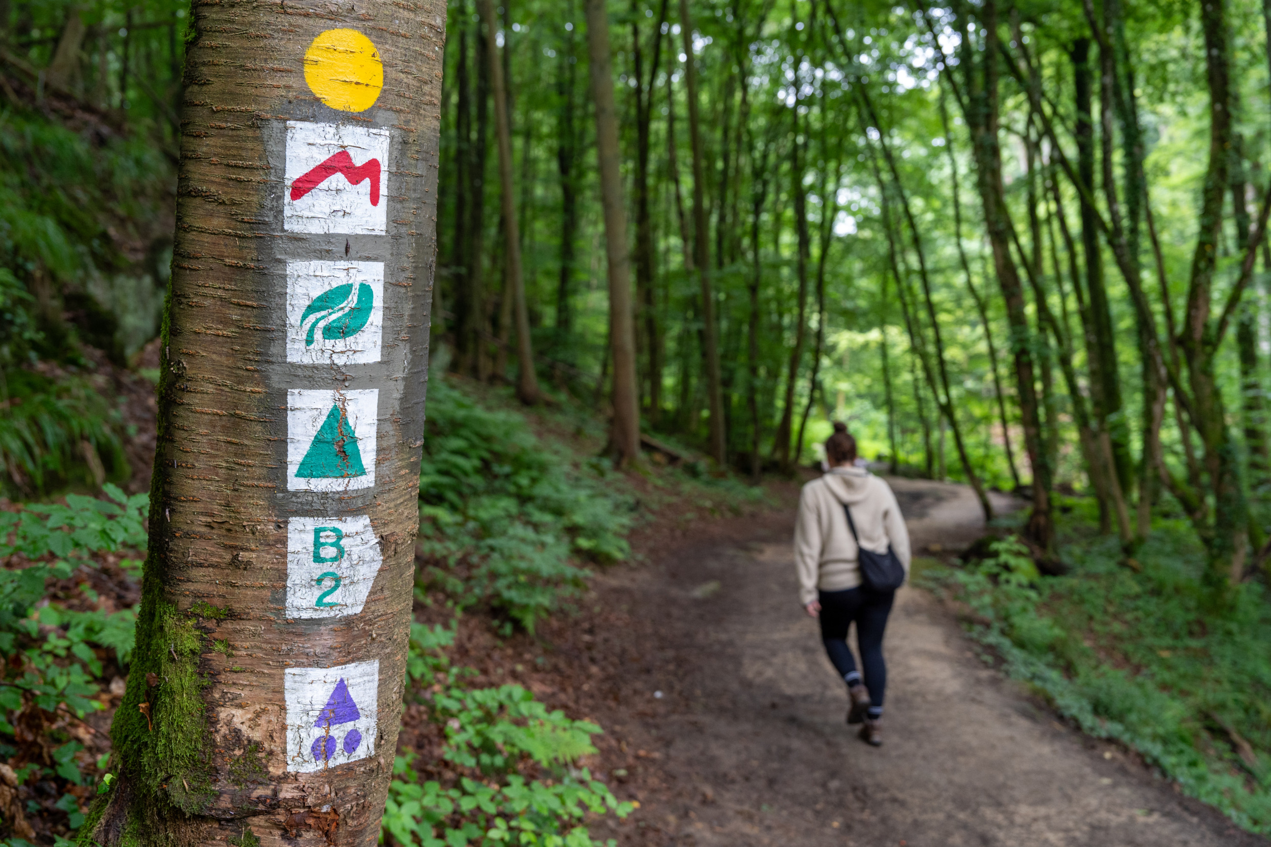 Müllerthal Trail