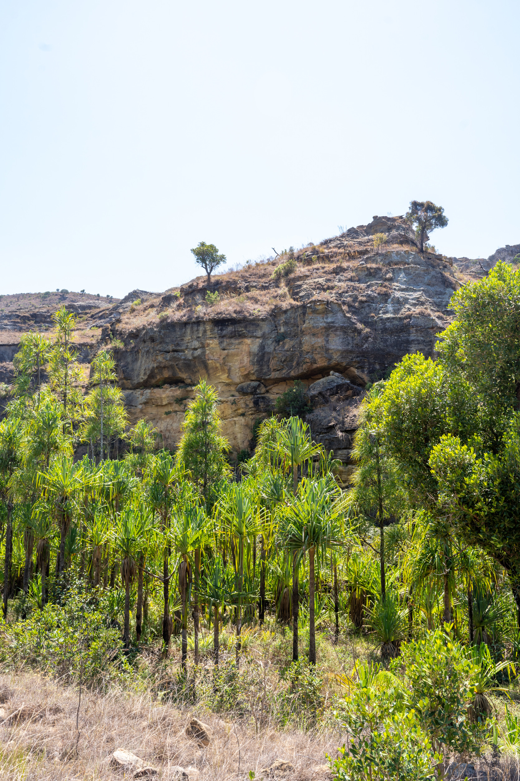 Isalo-Nationalpark