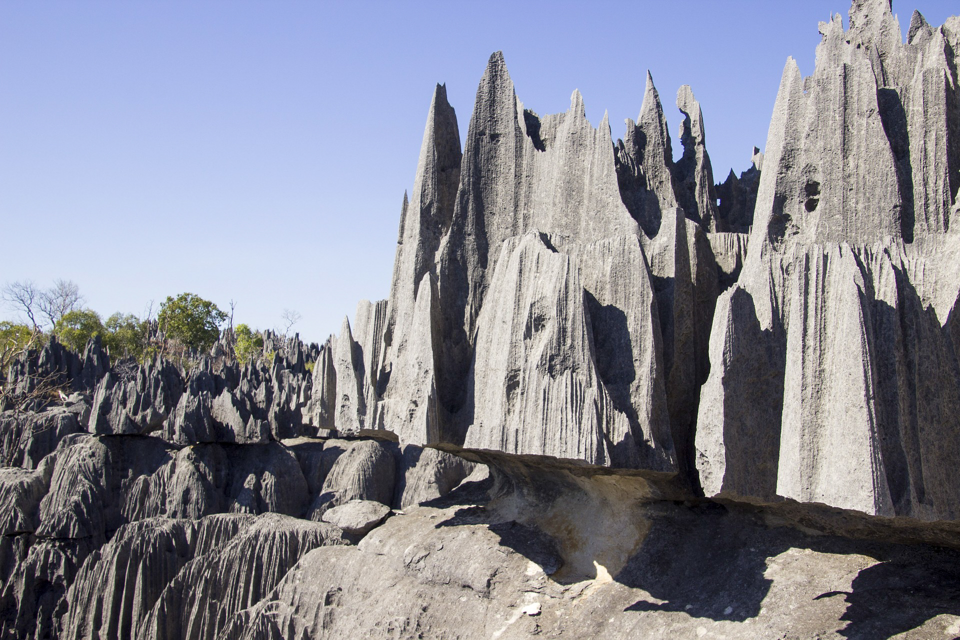 Tsingy Madagaskar Nationalparks