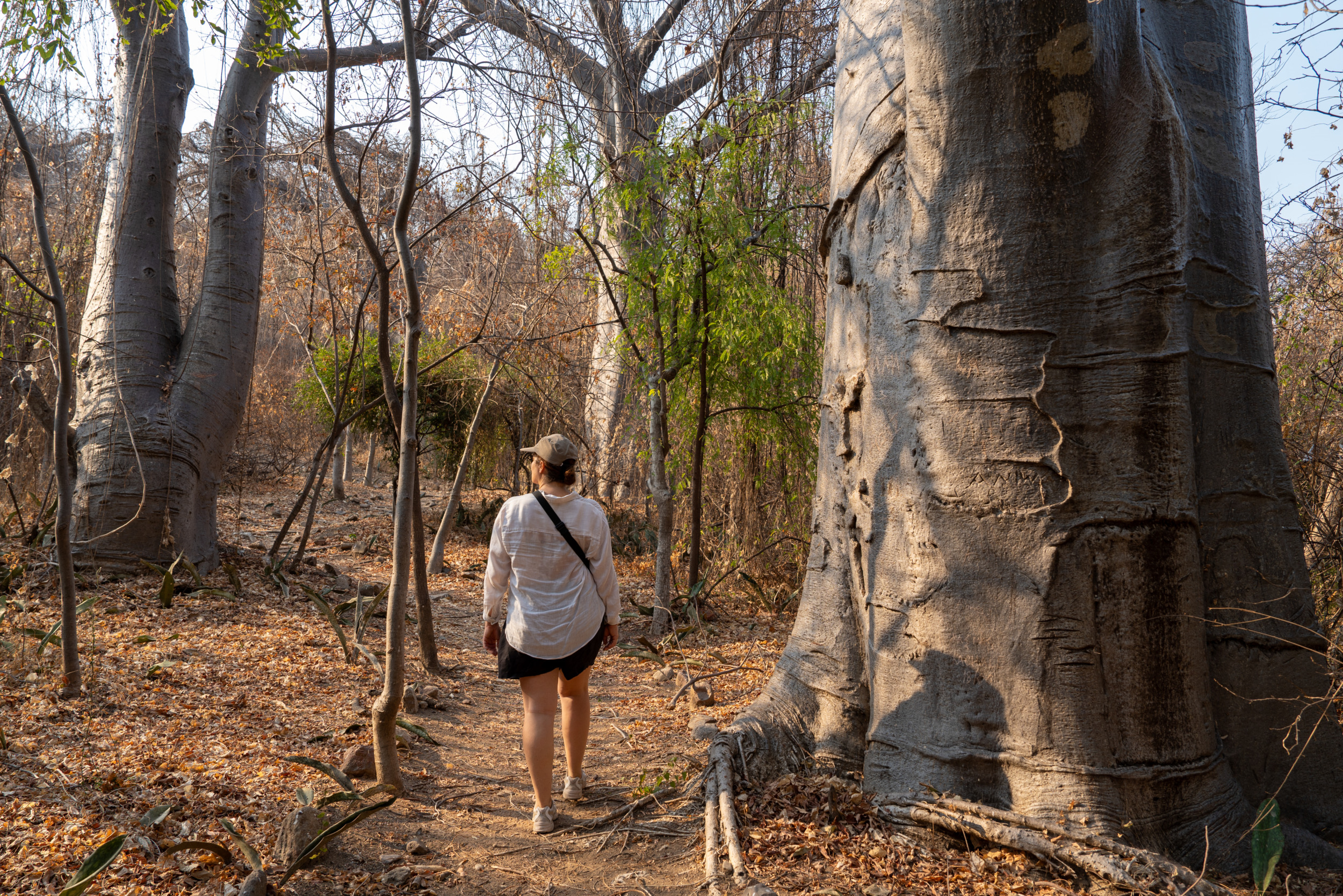 Wanderung Nankoma Island