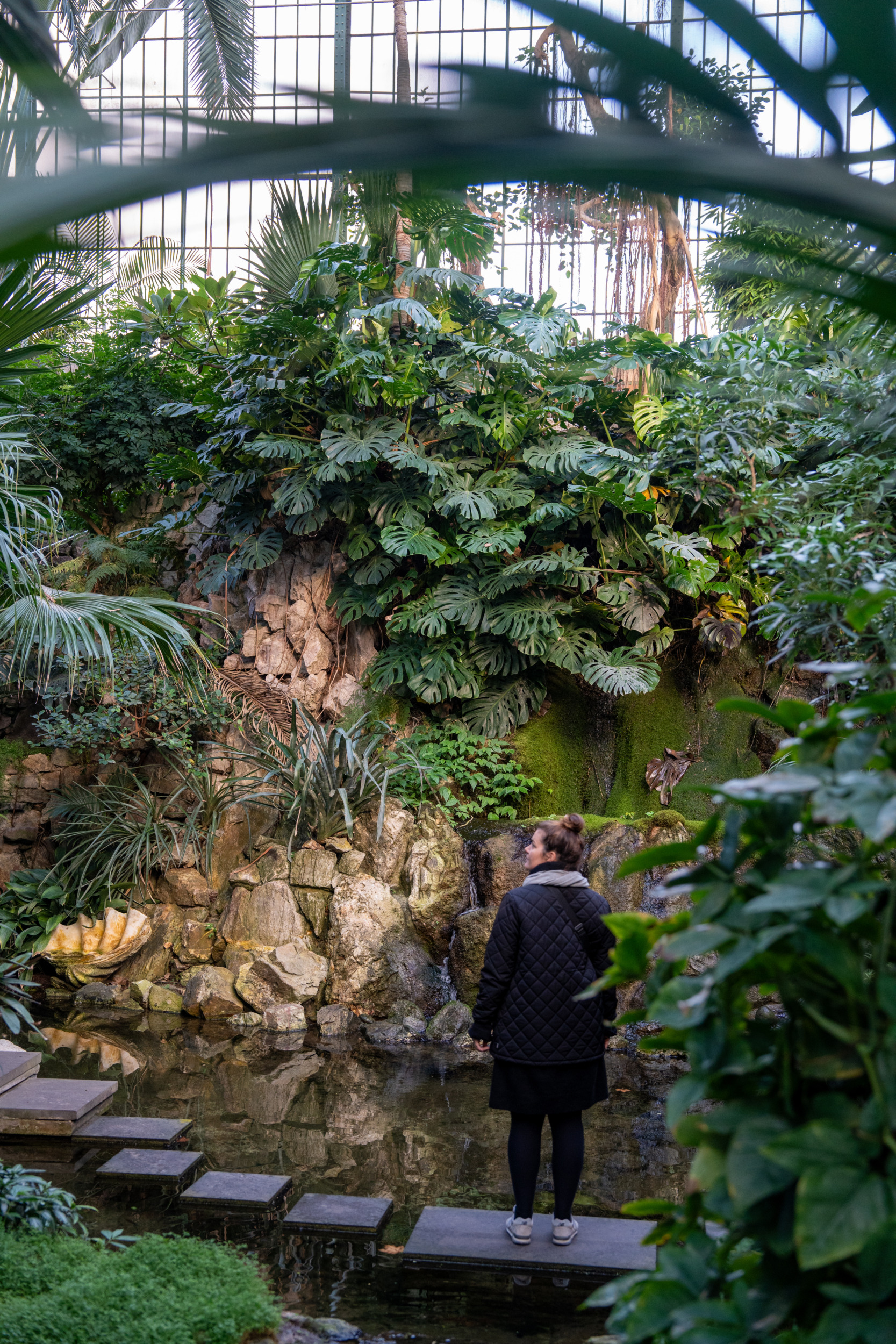 Palmengarten Frankfurt
