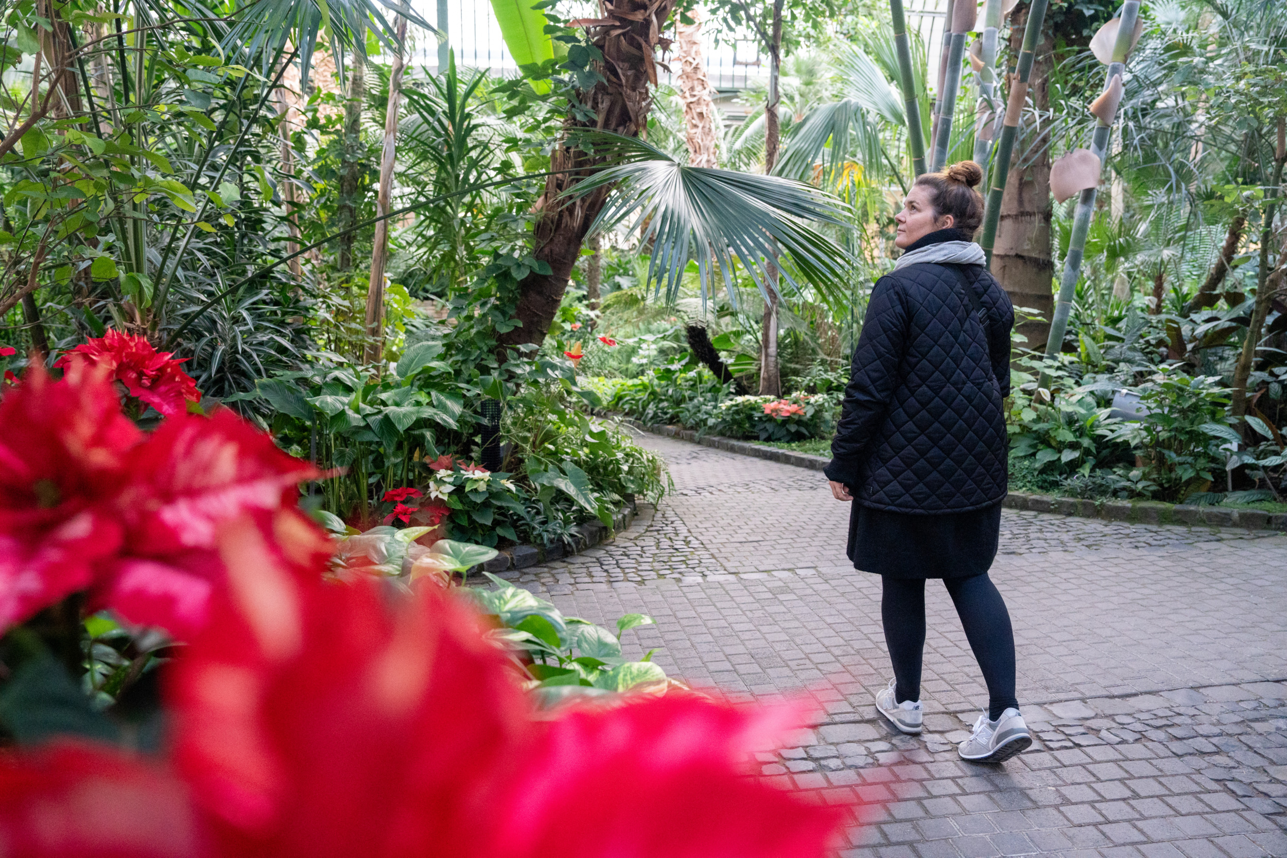 Palmengarten Frankfurt Tipps