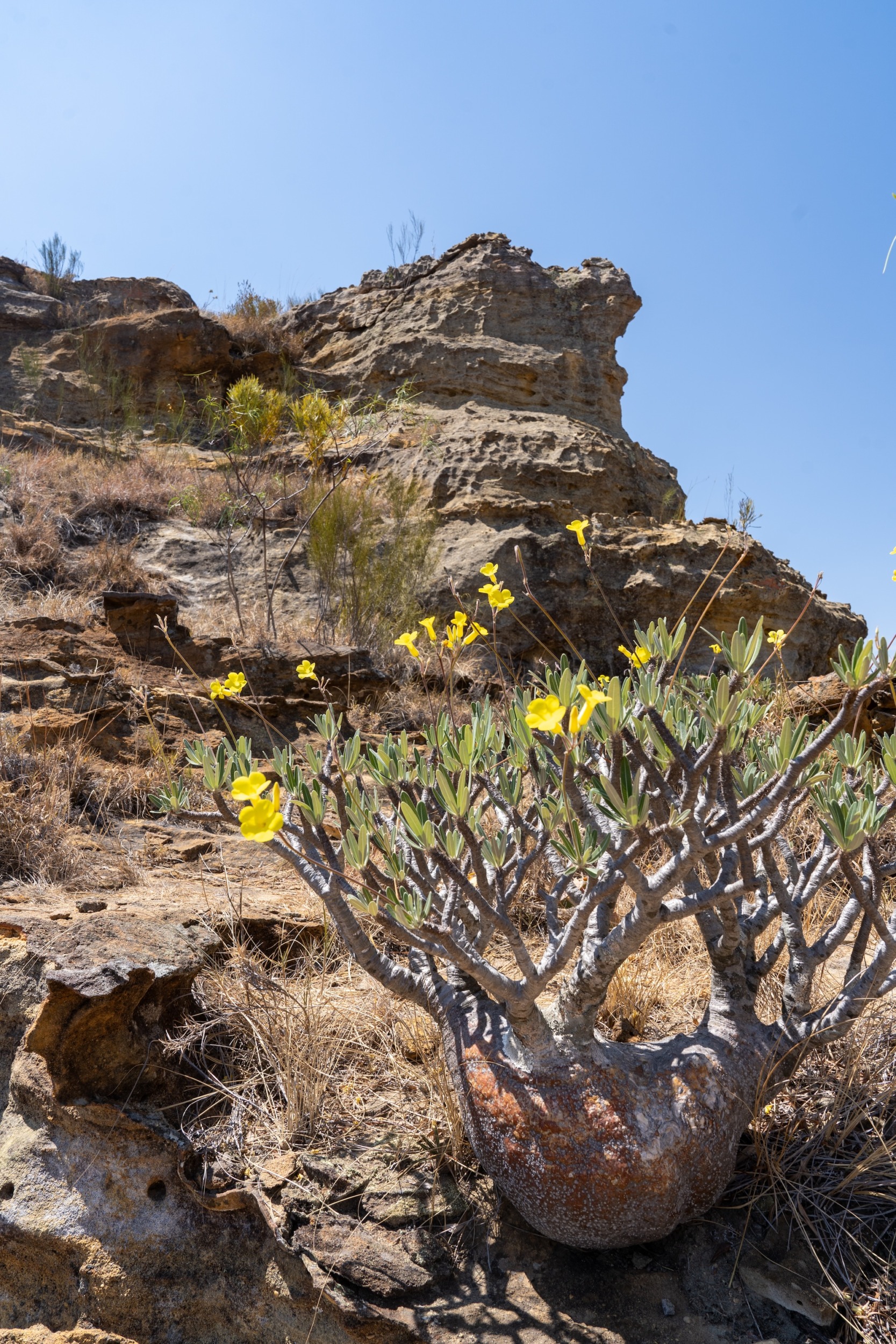 Isalo Nationalpark