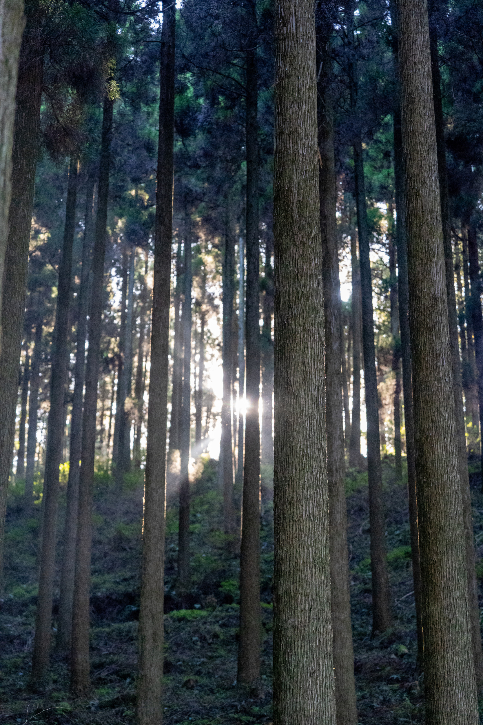 Kamishikimi Kumanoismasu Schrein, Kyushu, Japan