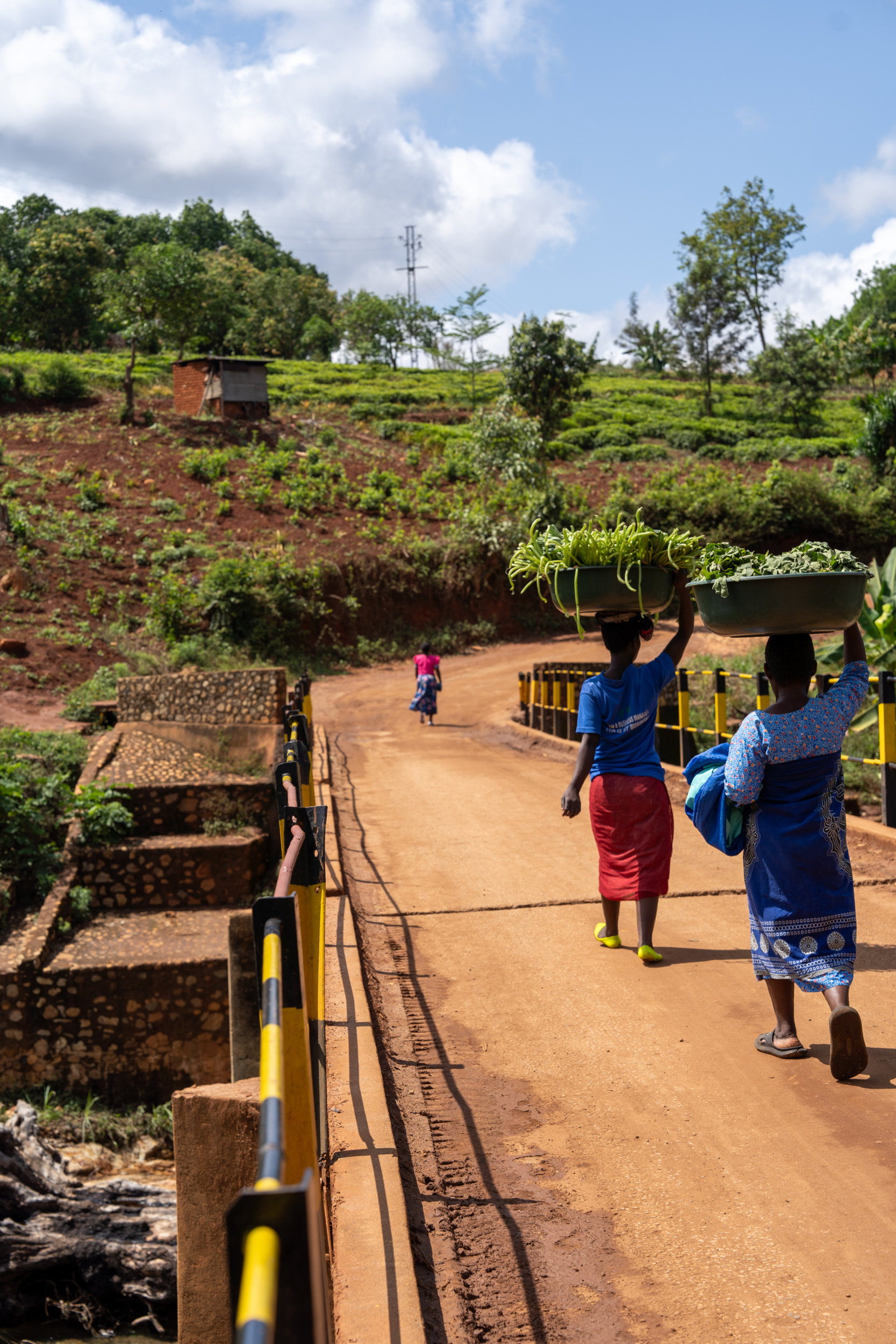 Wanderungen Mount Mulanje