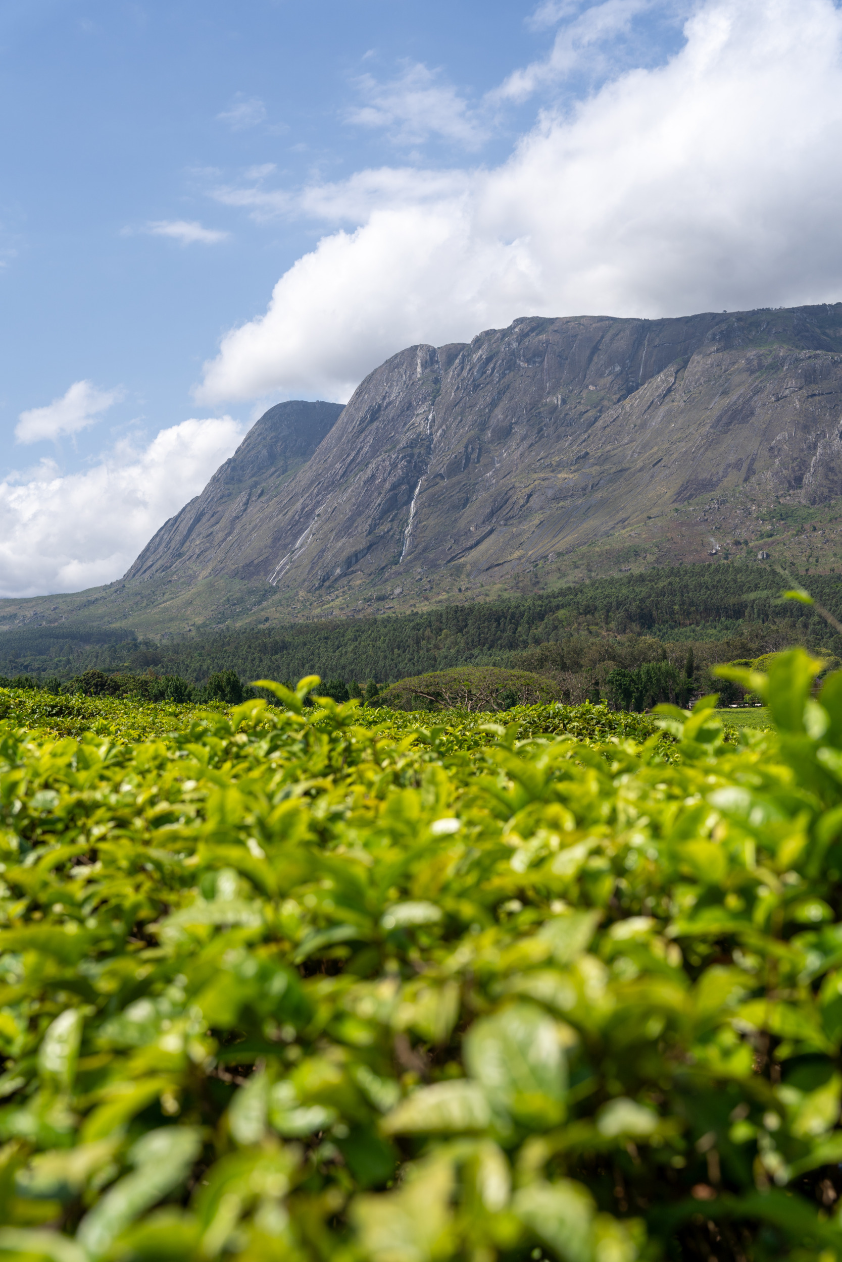 Wanderungen Mount Mulanje