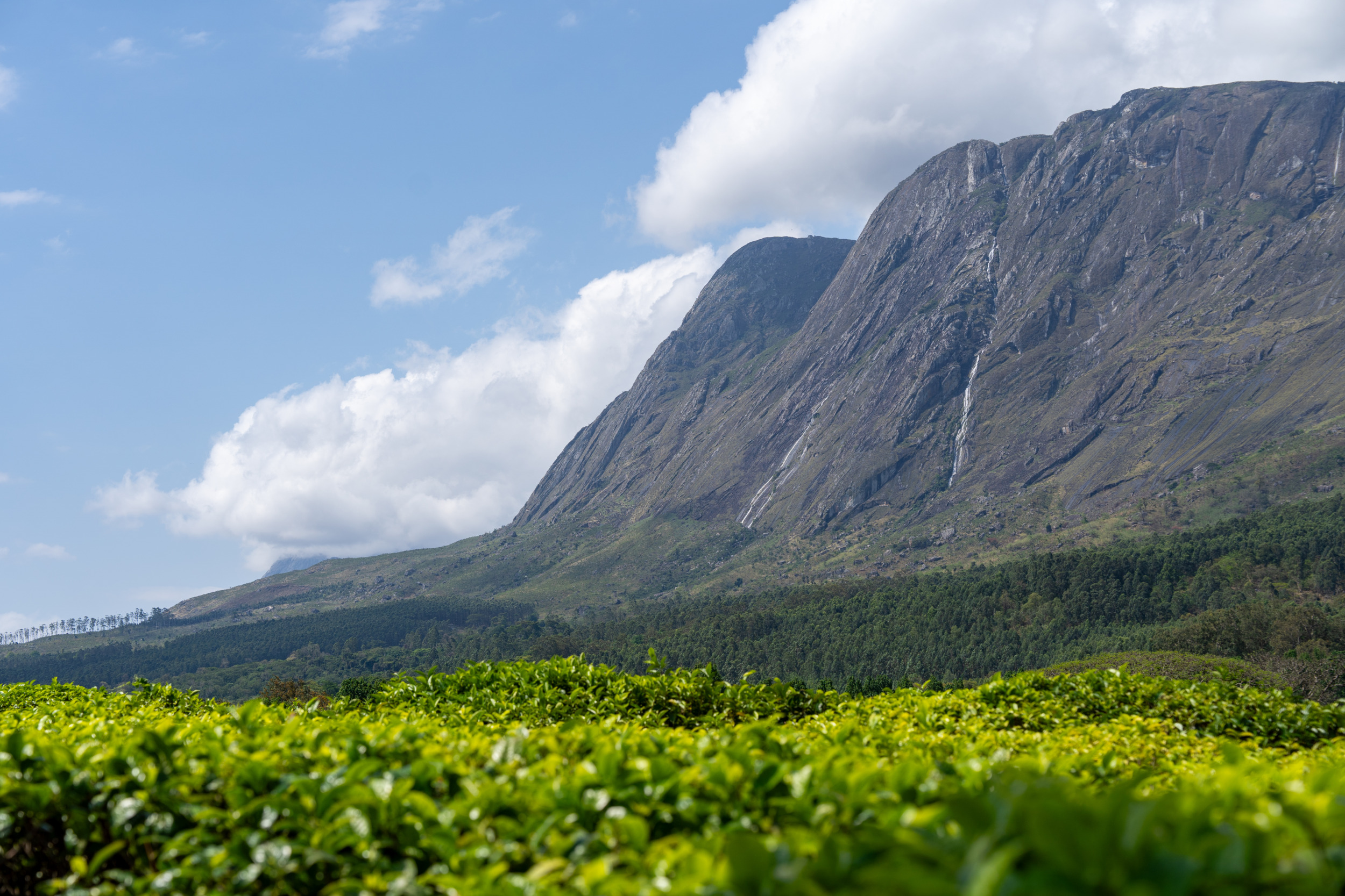 Sapitwa Peak Mount Mulanje